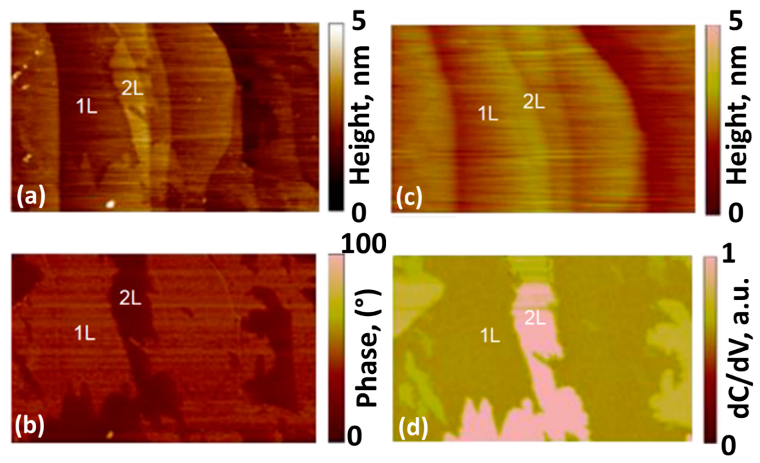 Nanomaterials 12 02229 g003