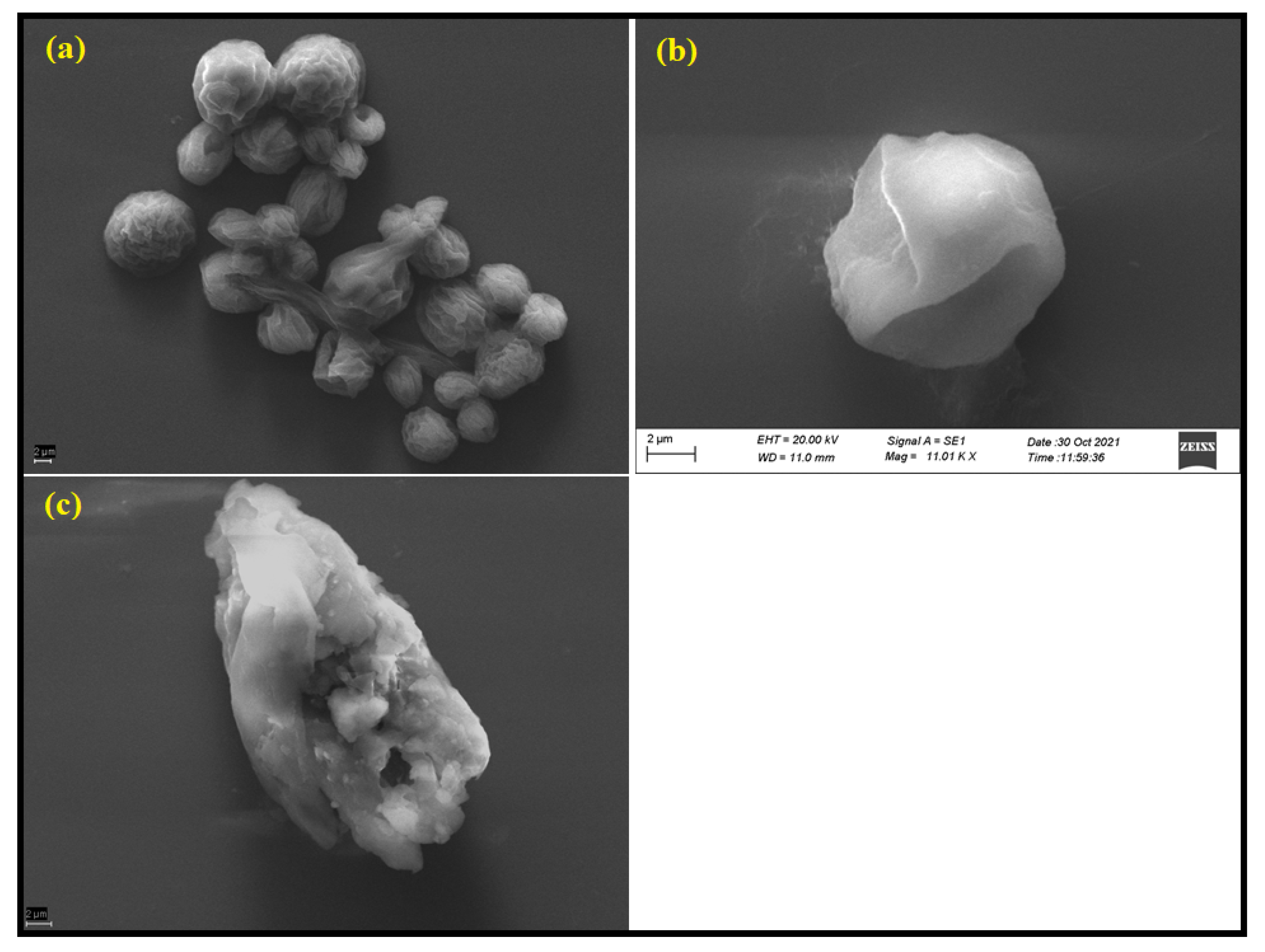 Nanomaterials 12 02235 g007