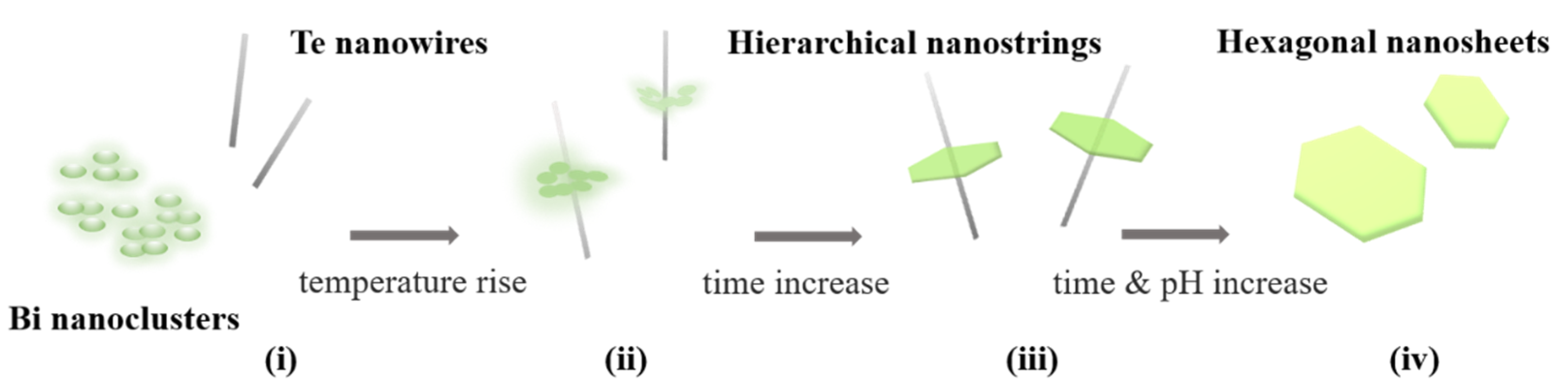 Nanomaterials 12 02236 g004