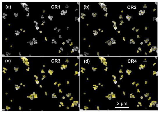 Nanomaterials 12 02238 g007 550