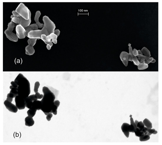 Nanomaterials 12 02238 g008 550