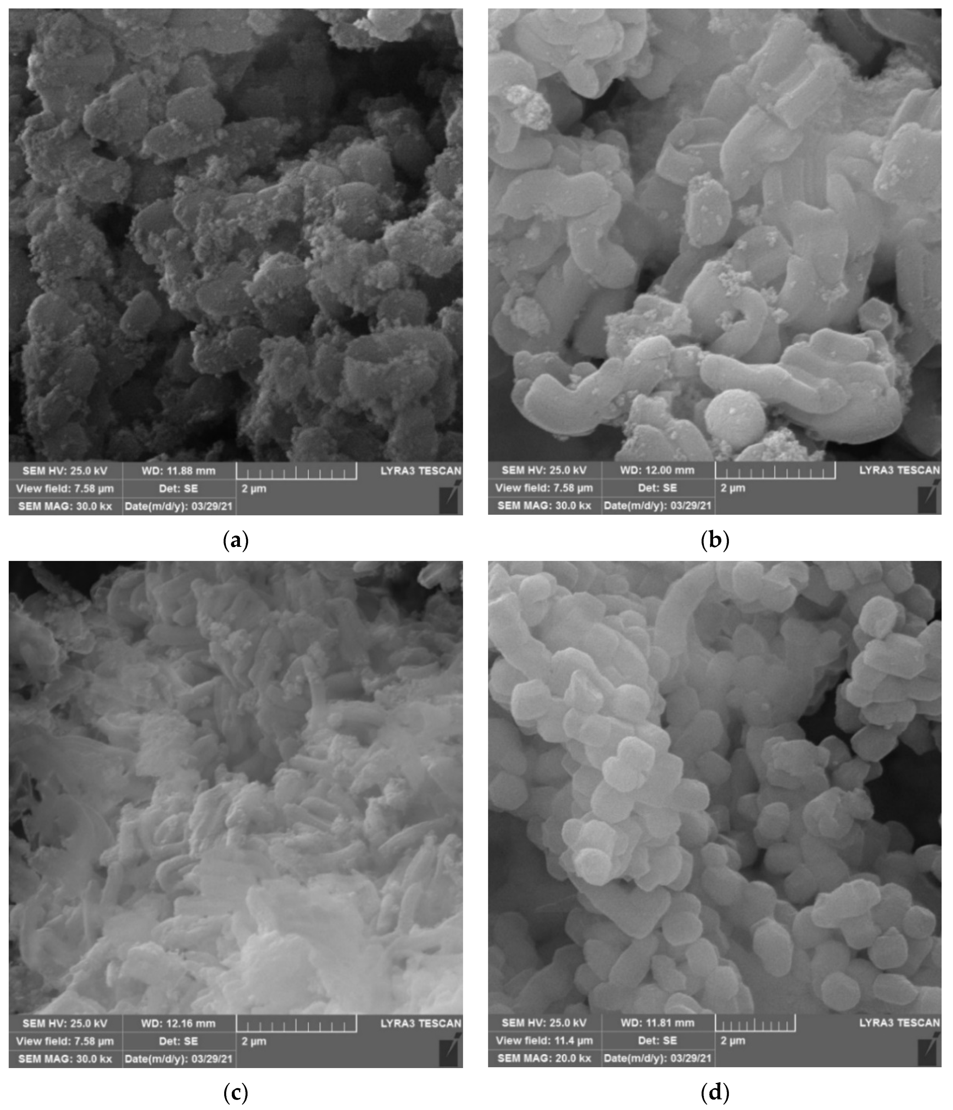 Nanomaterials 12 02247 g005