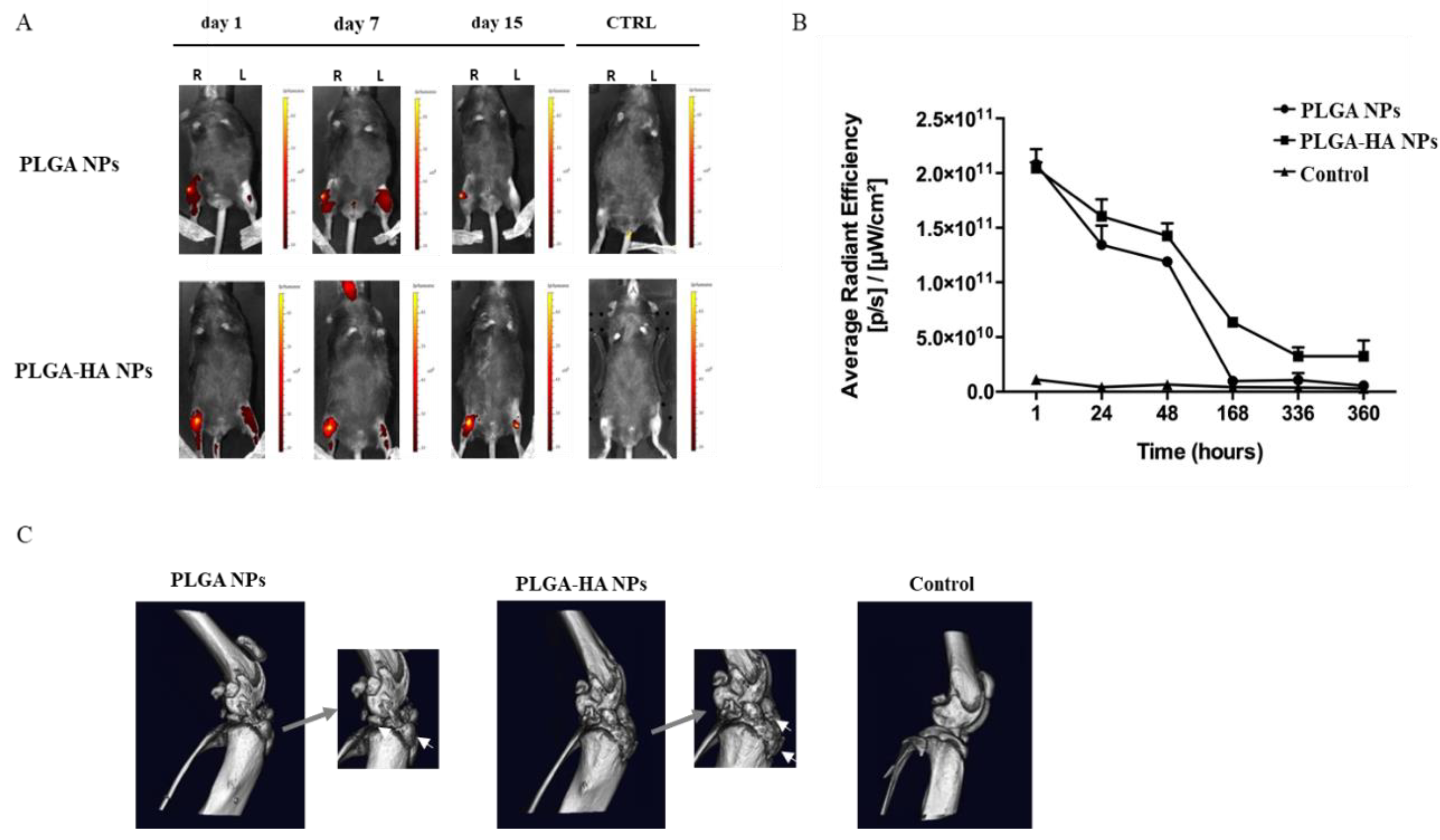 Nanomaterials 12 02248 g007 Nanomaterials 12 02248 g007