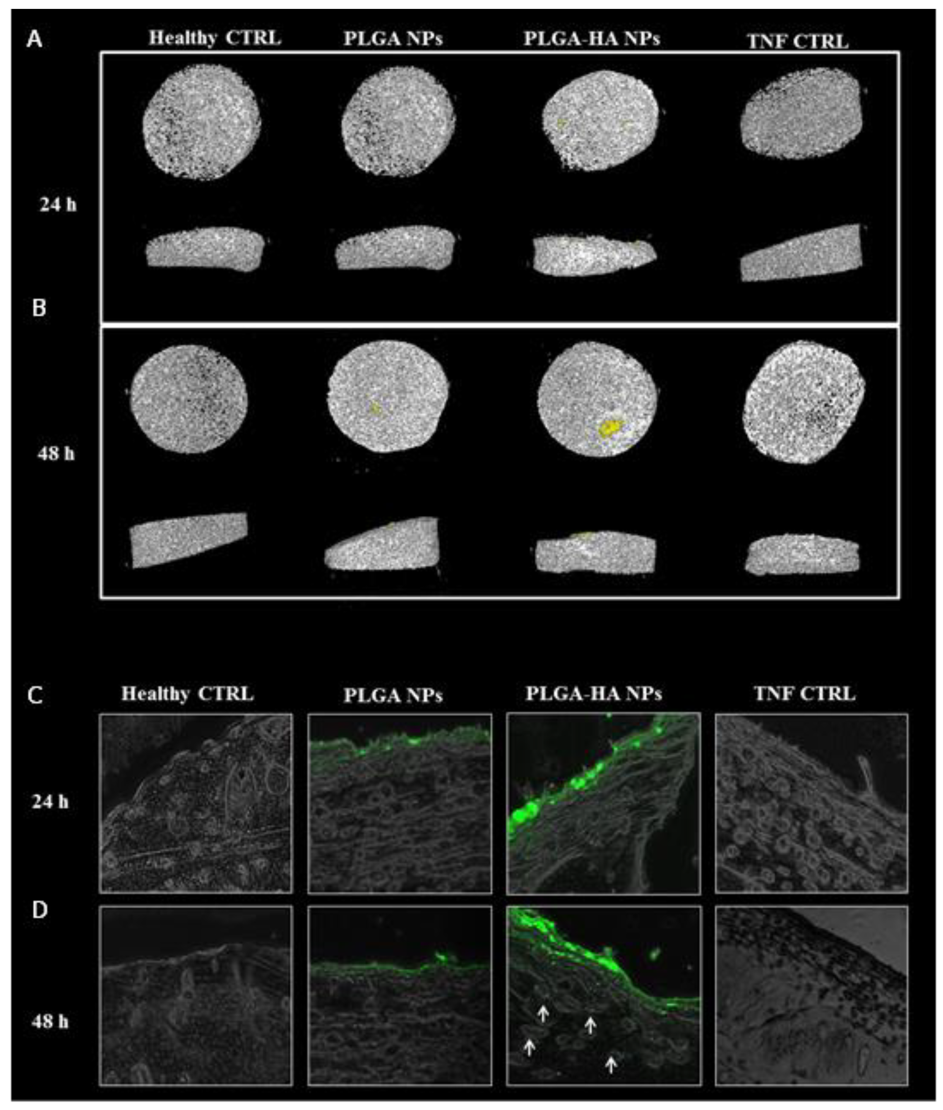 Nanomaterials 12 02248 g008 Nanomaterials 12 02248 g008