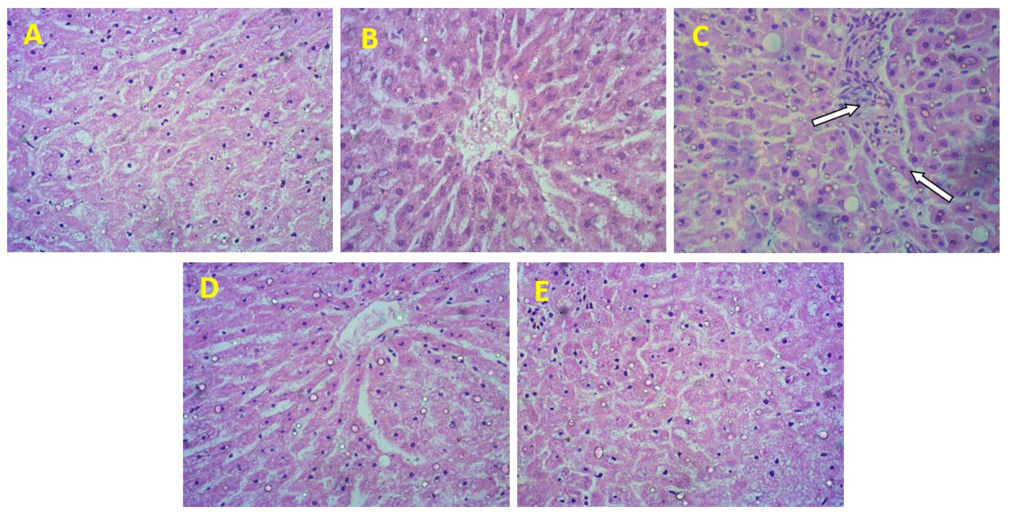 Nanomaterials 12 02262 g010