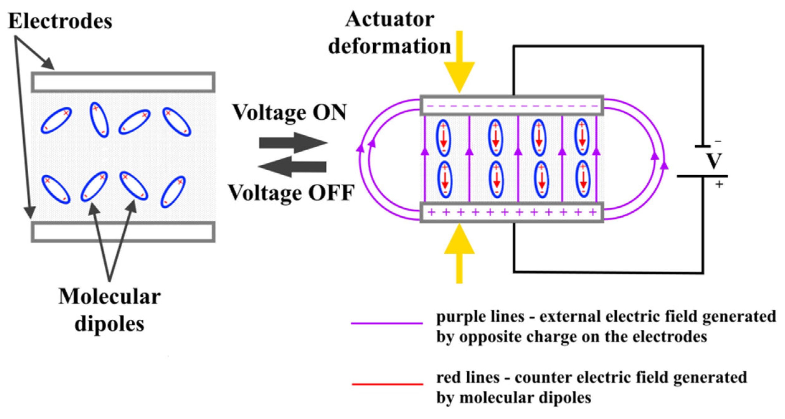 Nanomaterials 12 02272 g004
