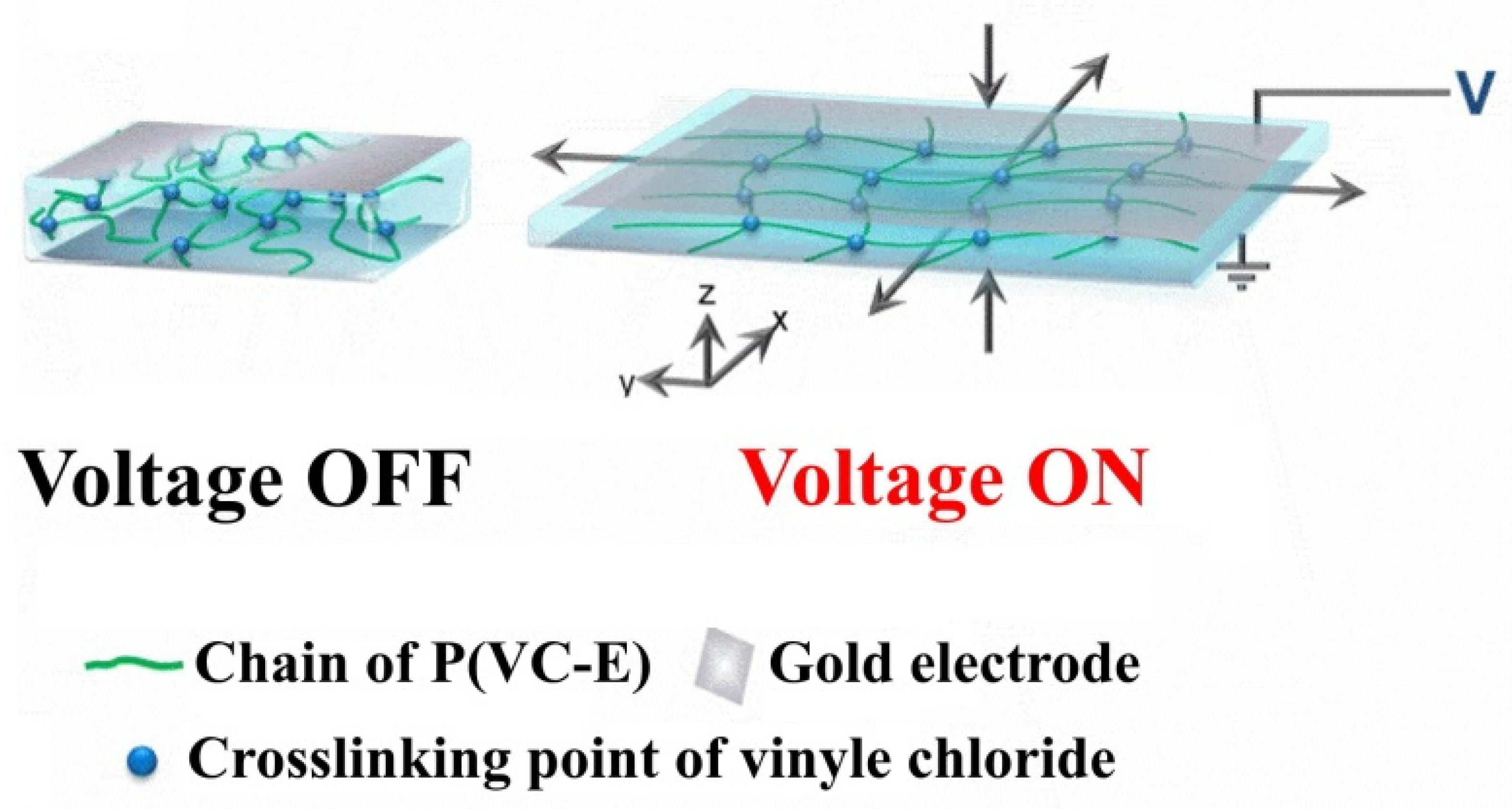 Nanomaterials 12 02272 g006