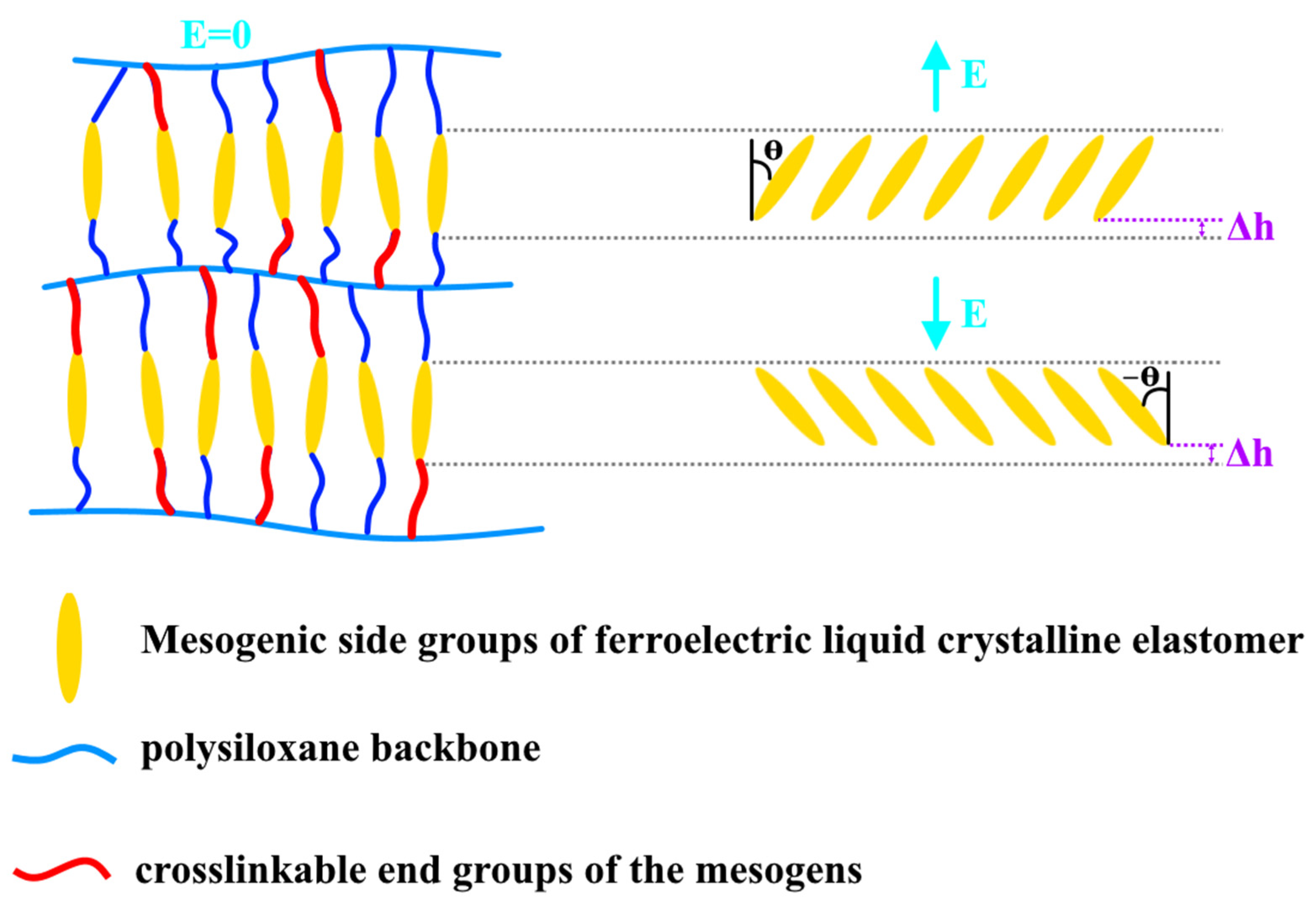 Nanomaterials 12 02272 g011