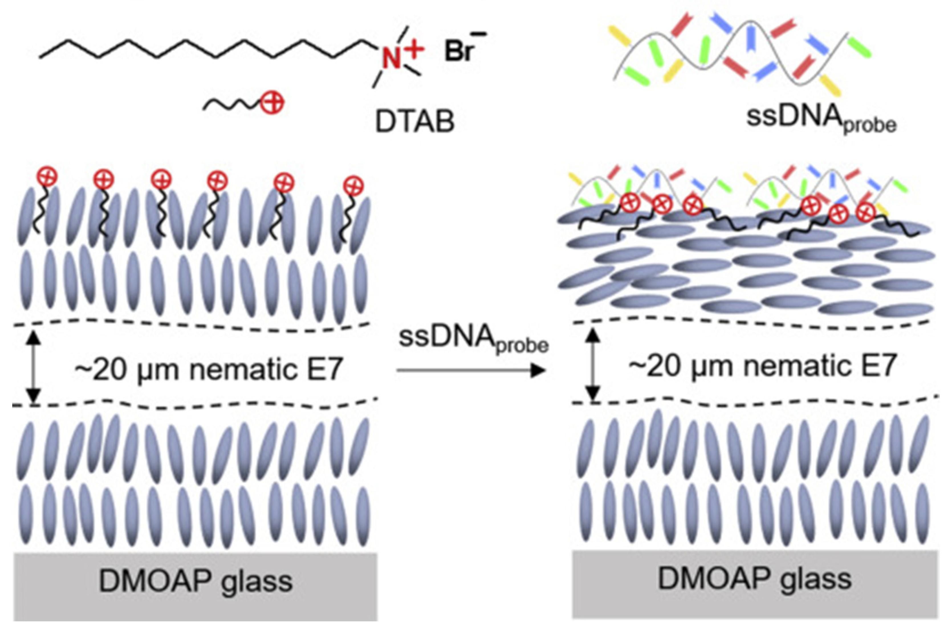 Nanomaterials 12 02272 g012