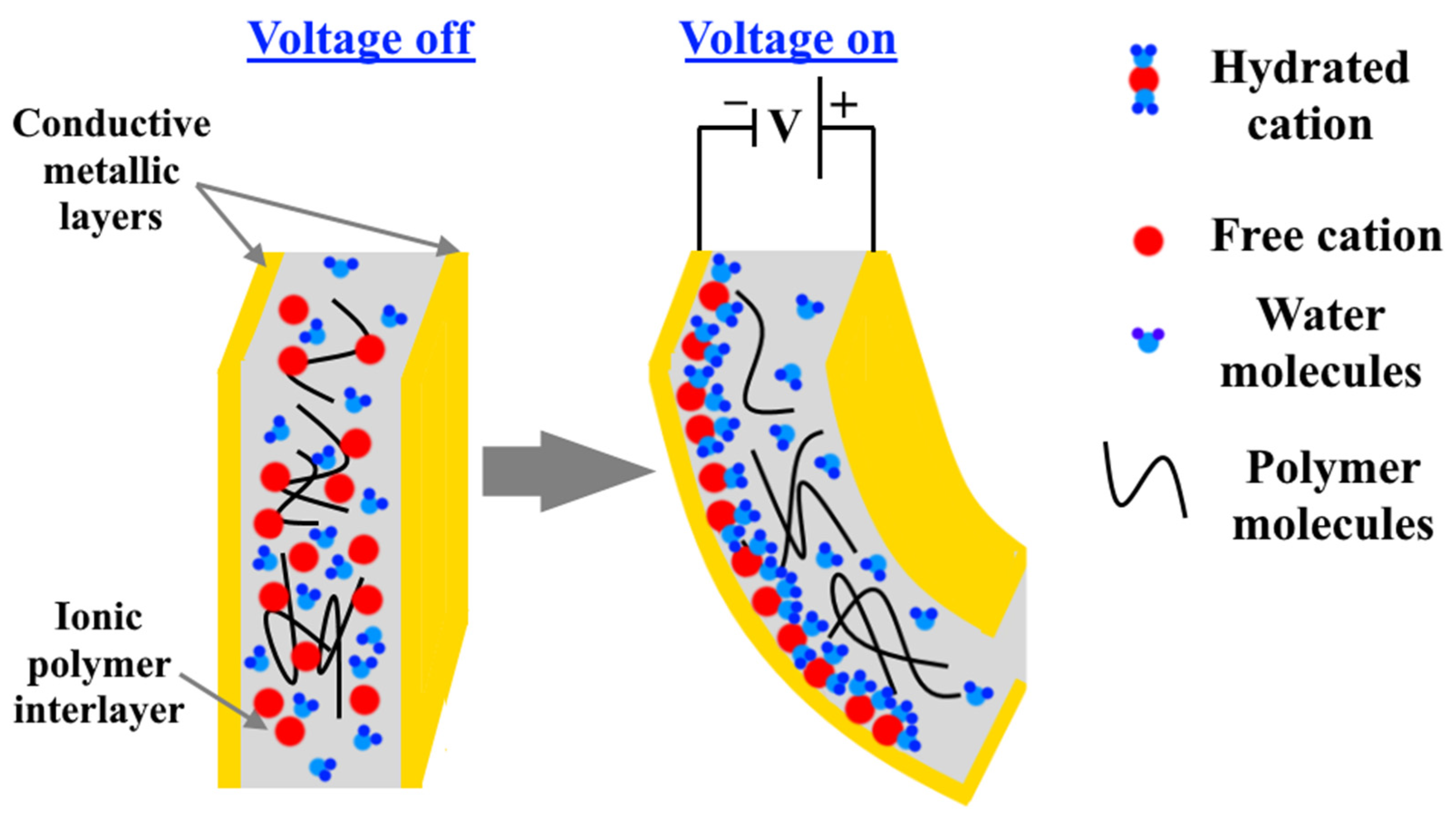 Nanomaterials 12 02272 g013