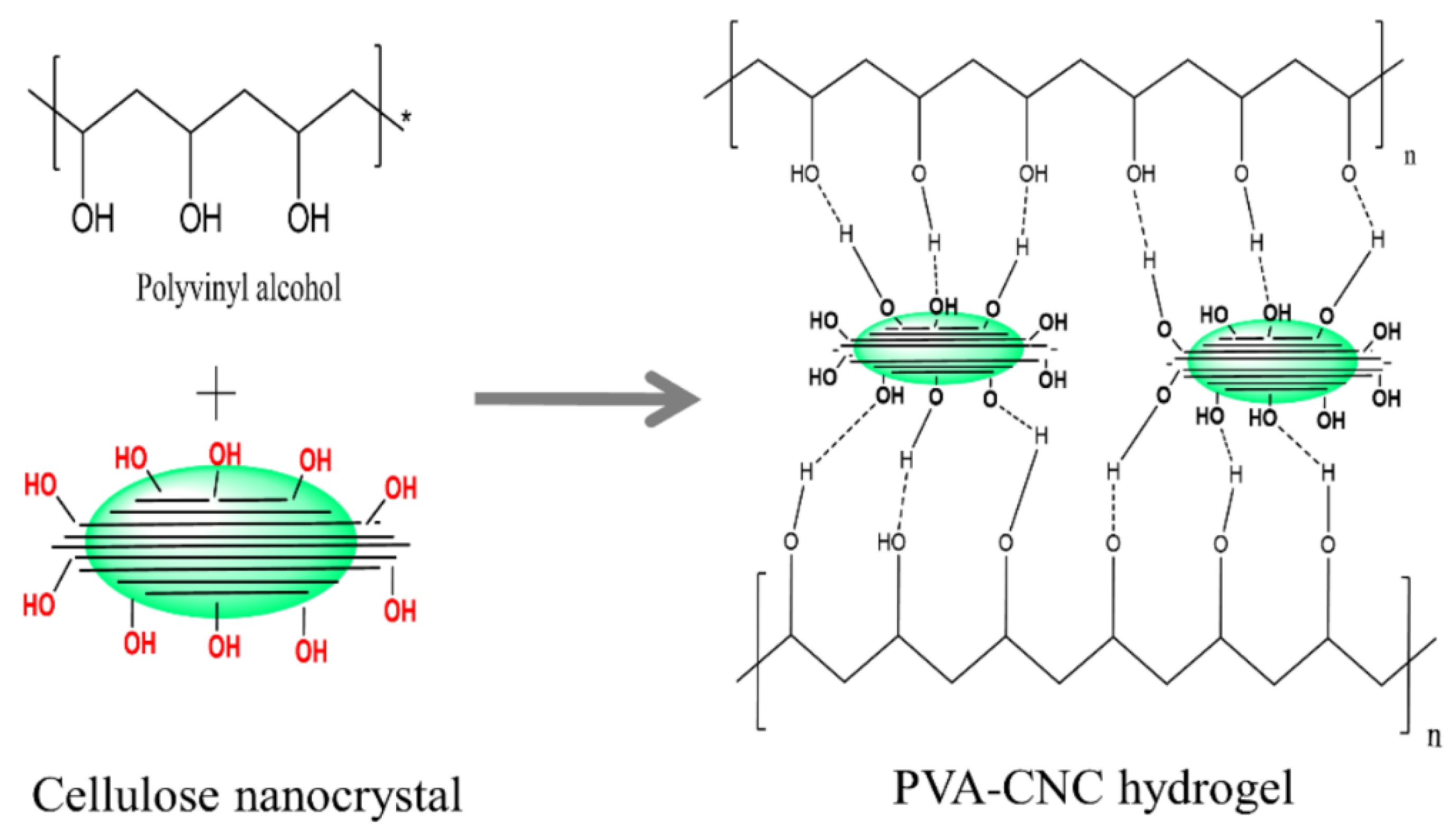 Nanomaterials 12 02272 g016