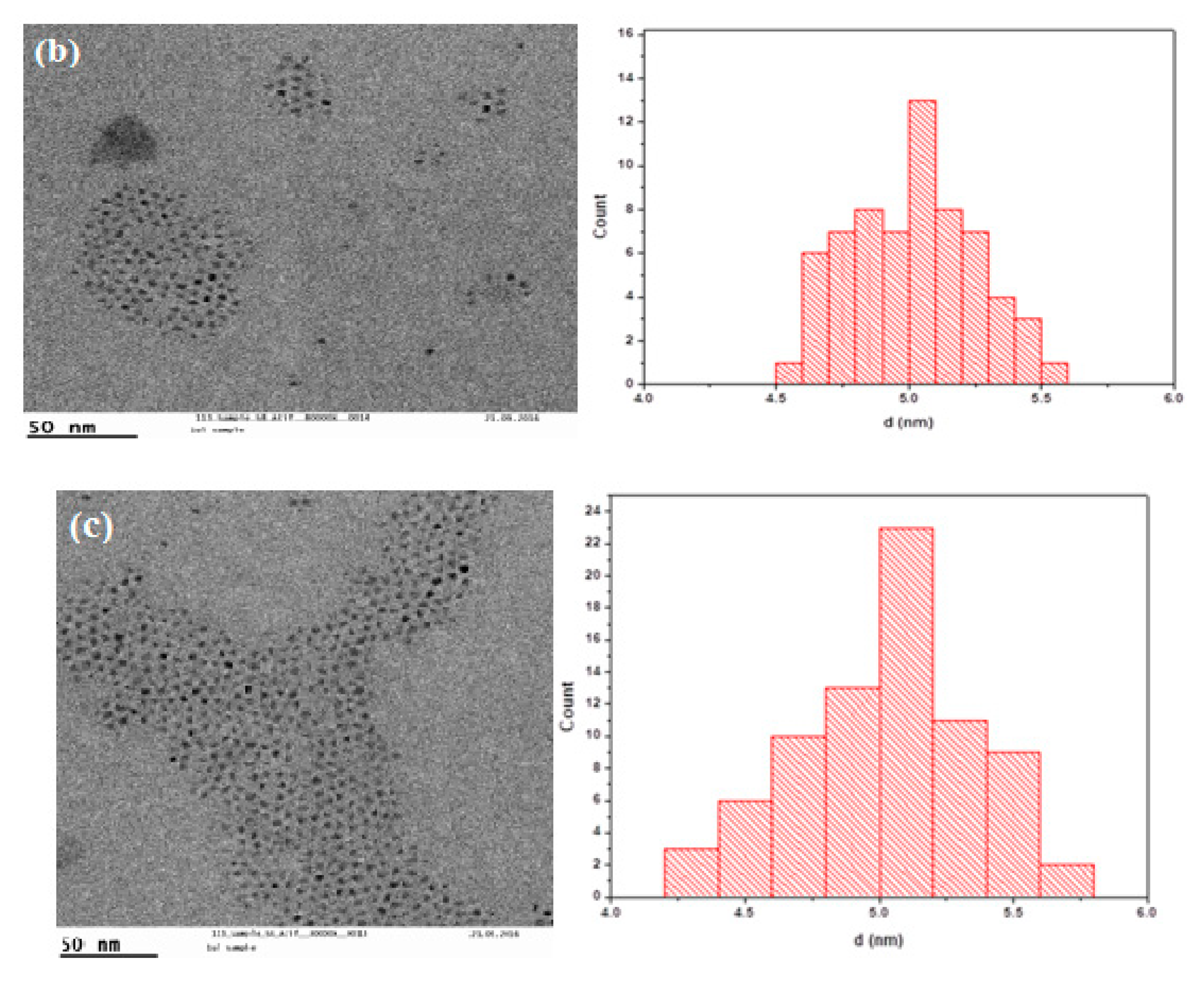 Nanomaterials 12 02277 g003b