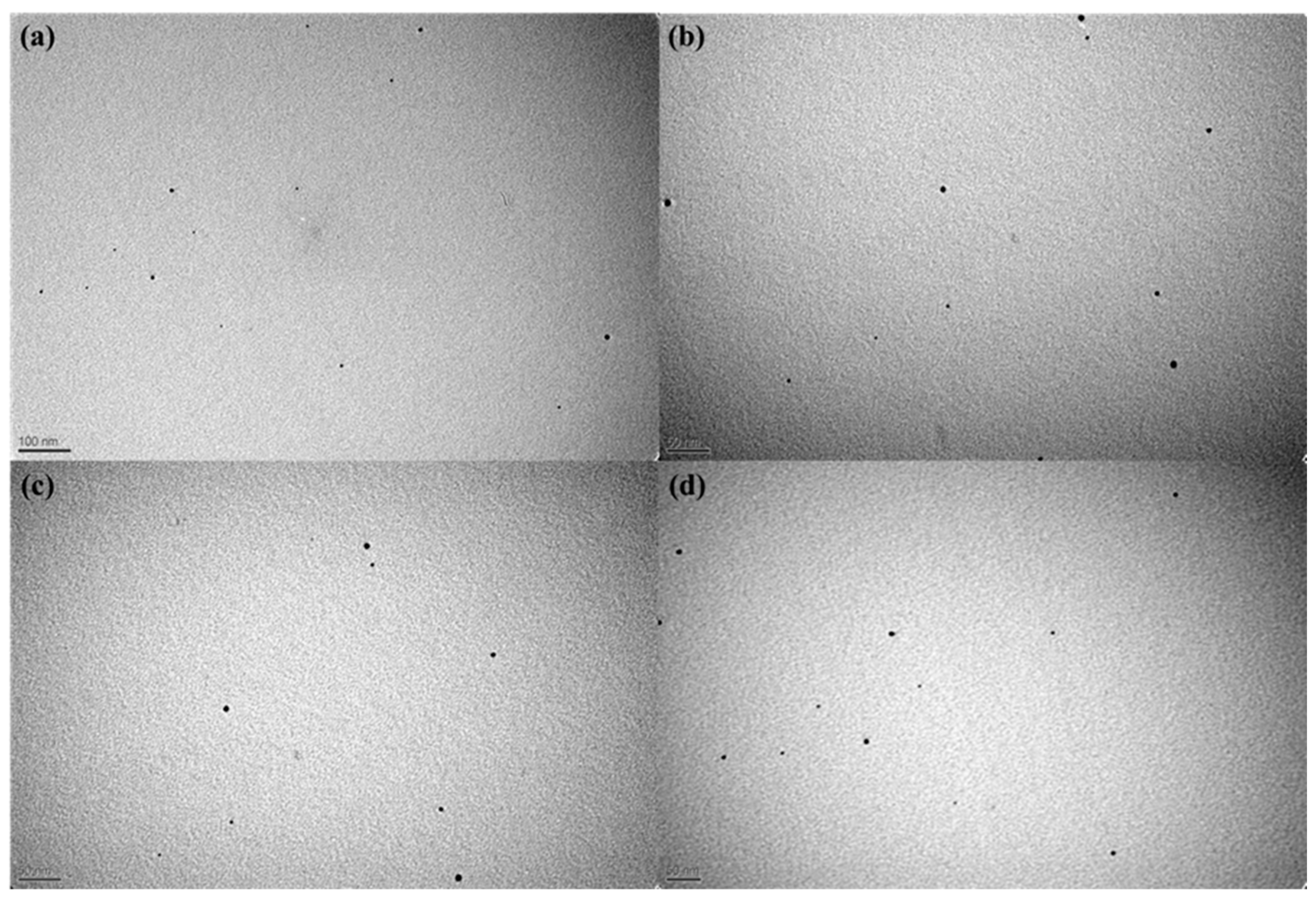 Nanomaterials 12 02296 g009