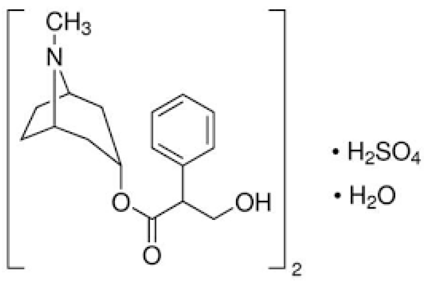 Nanomaterials 12 02313 g001