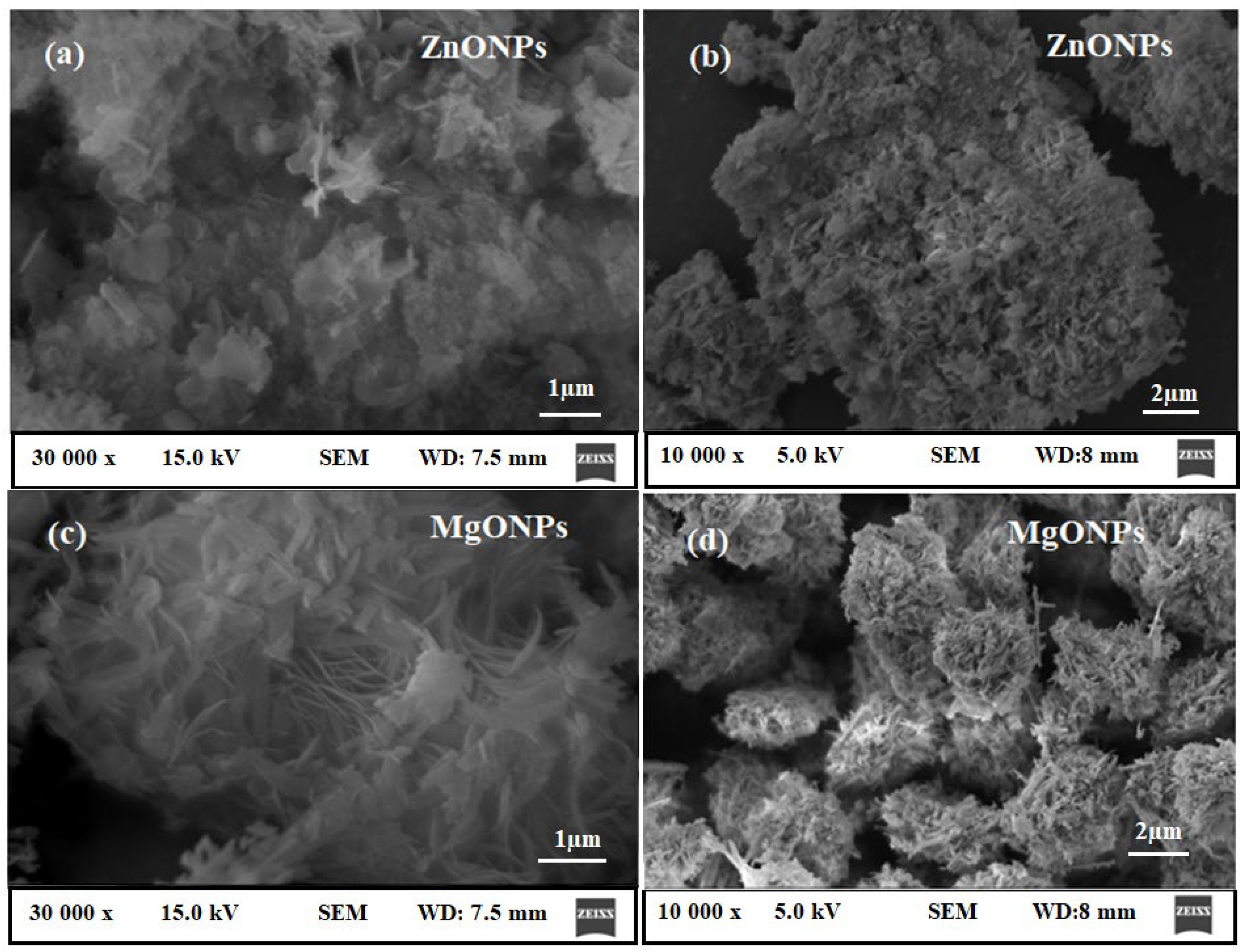 Nanomaterials 12 02313 g006
