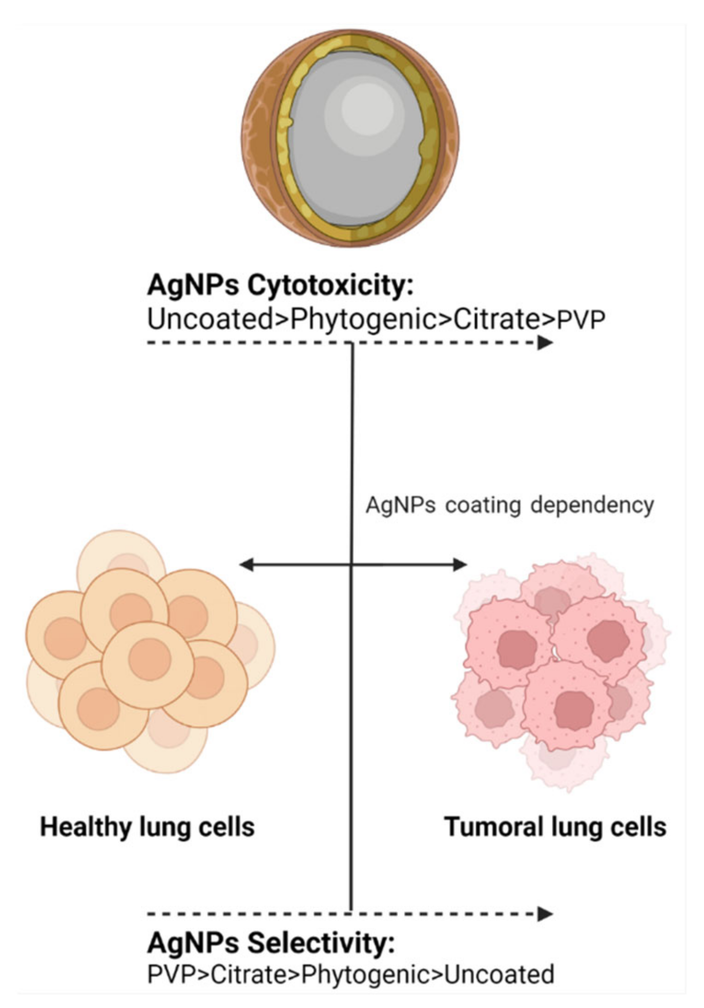 Nanomaterials 12 02316 g002
