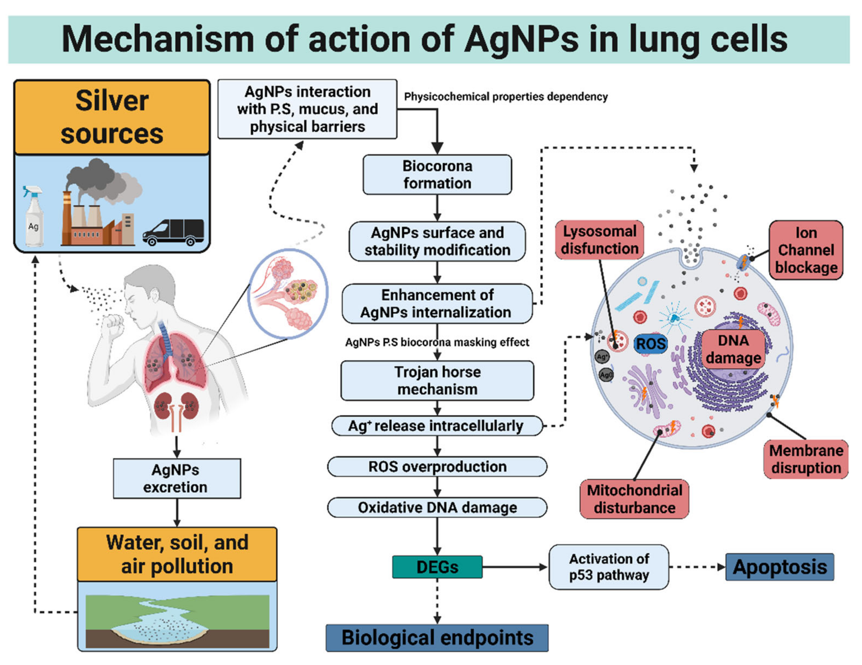 Nanomaterials 12 02316 g003