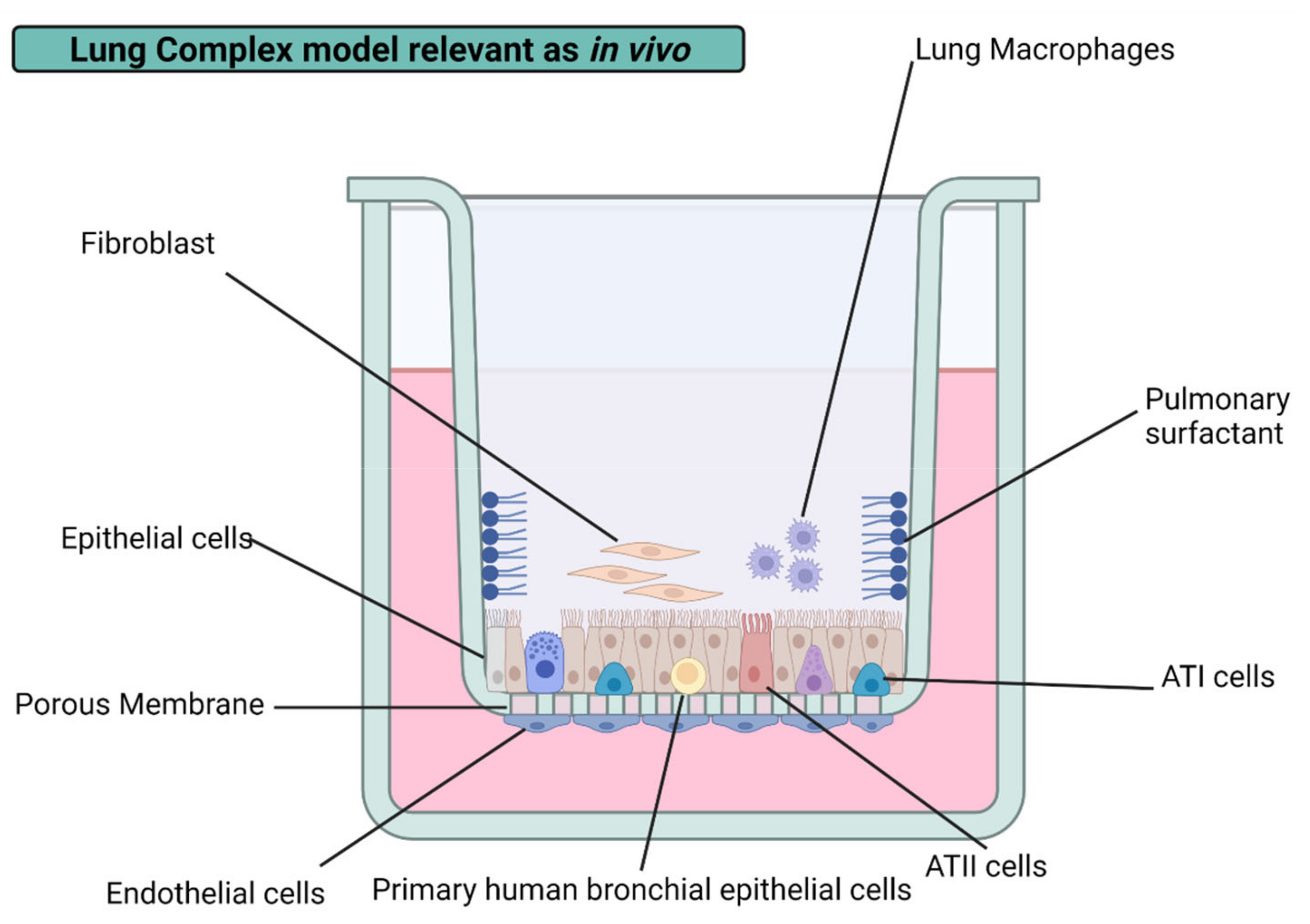 Nanomaterials 12 02316 g004