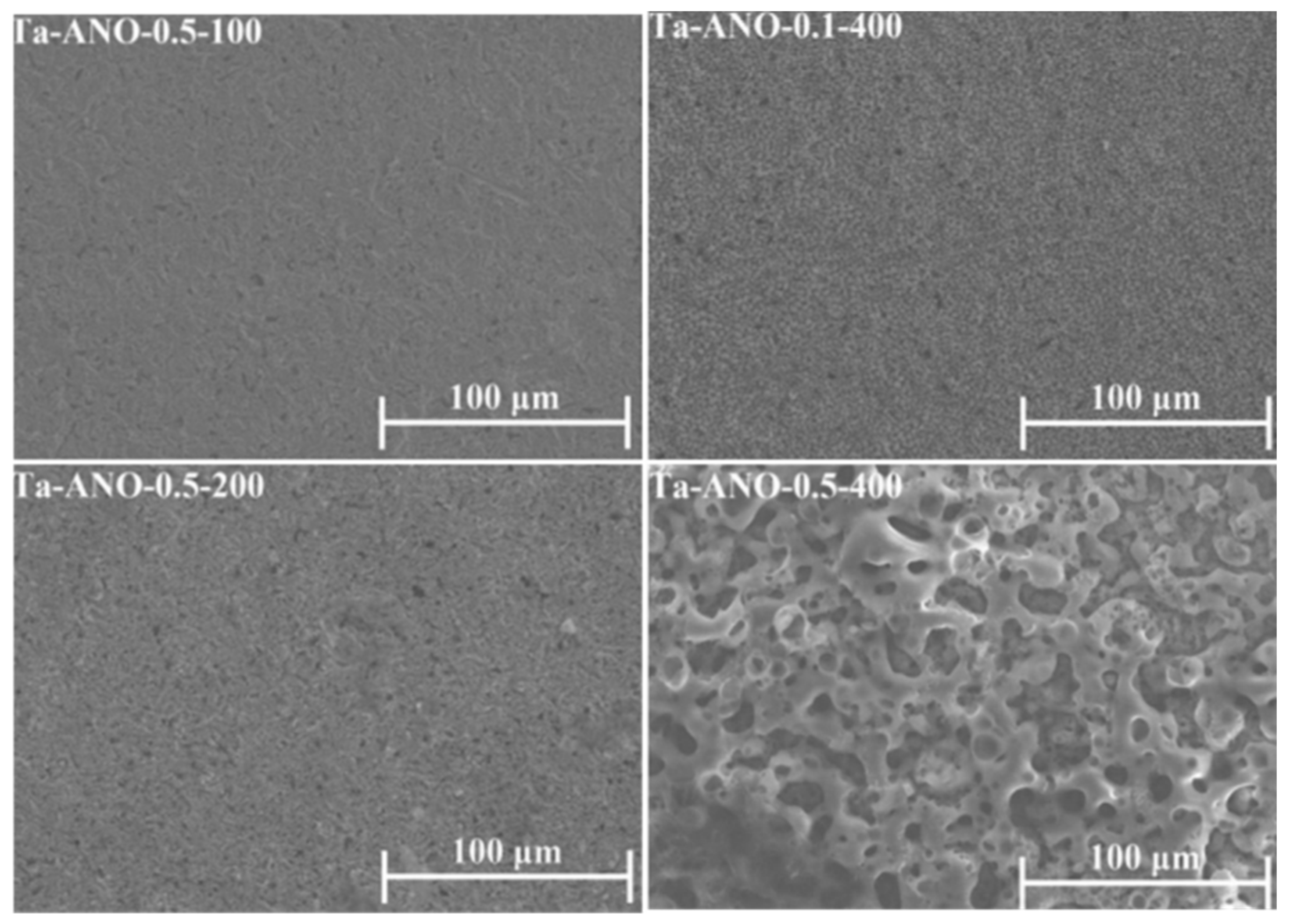 Nanomaterials 12 02319 g013