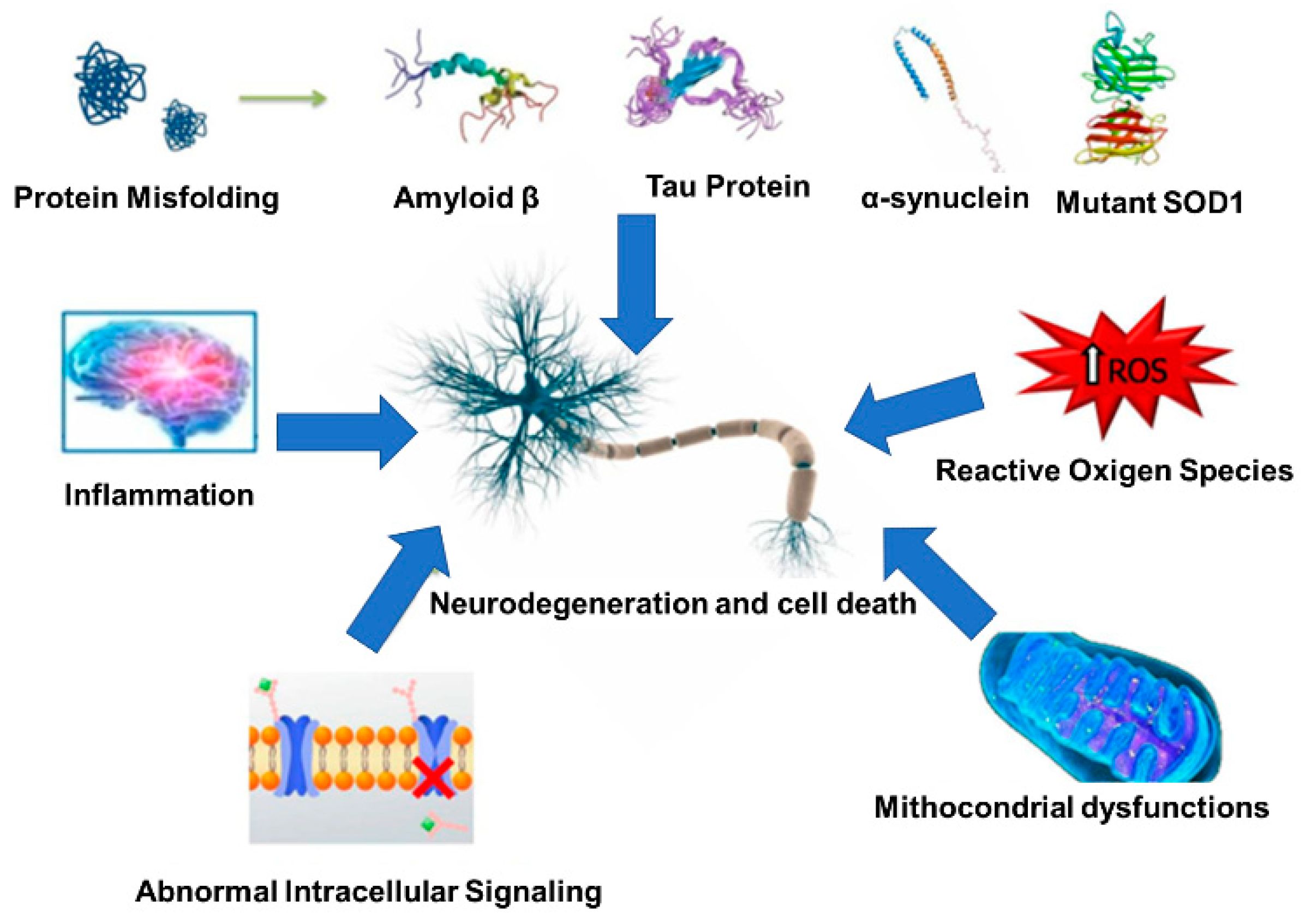 Nanomaterials 12 02337 g001