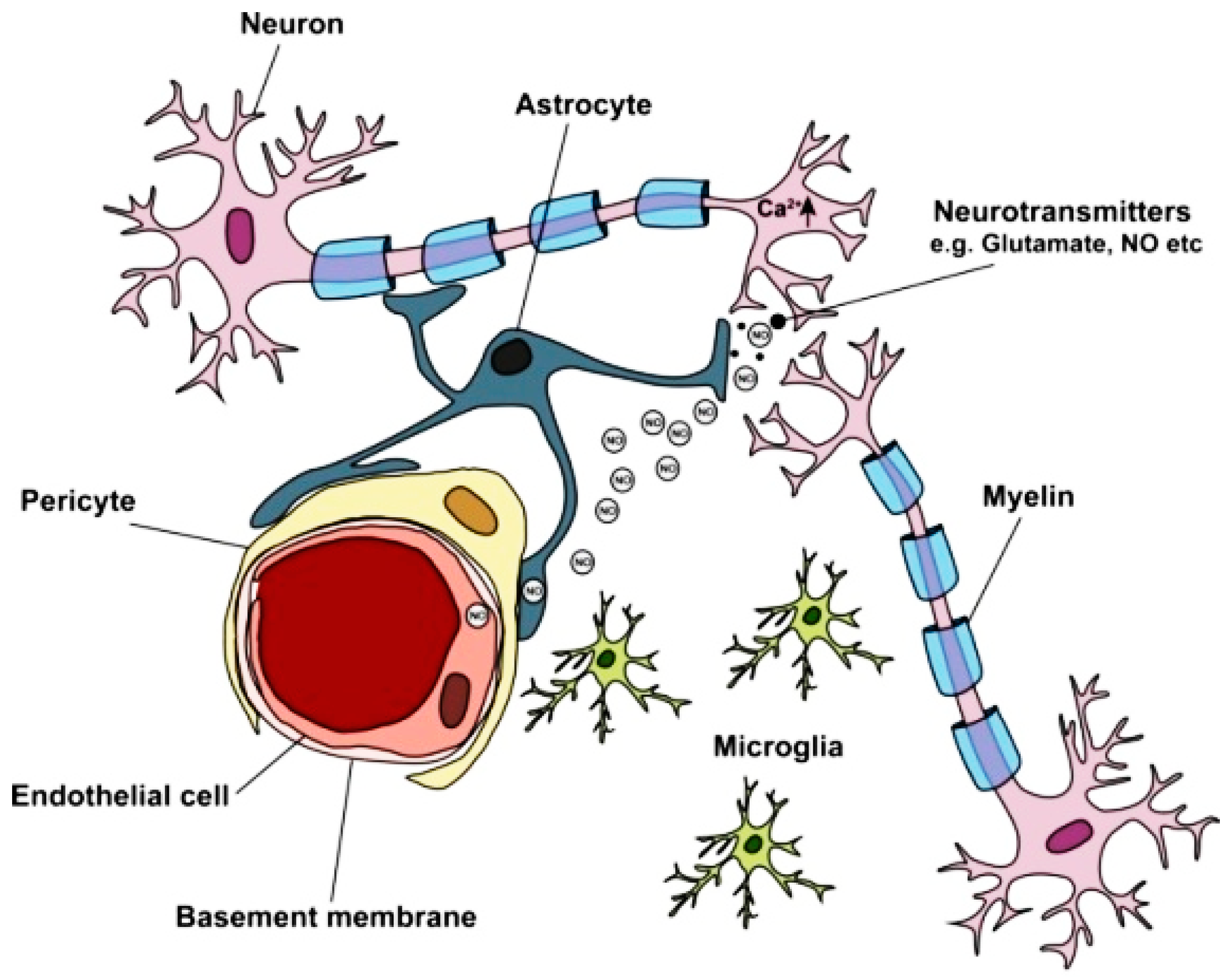 Nanomaterials 12 02337 g002