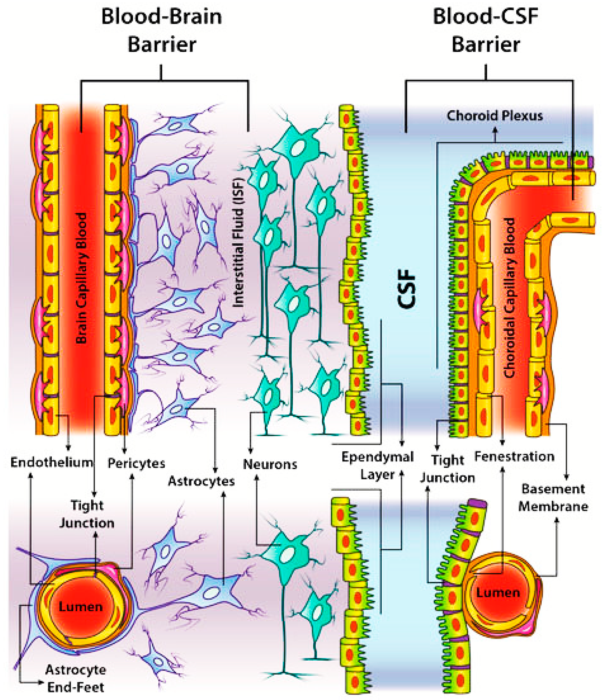 Nanomaterials 12 02337 g003