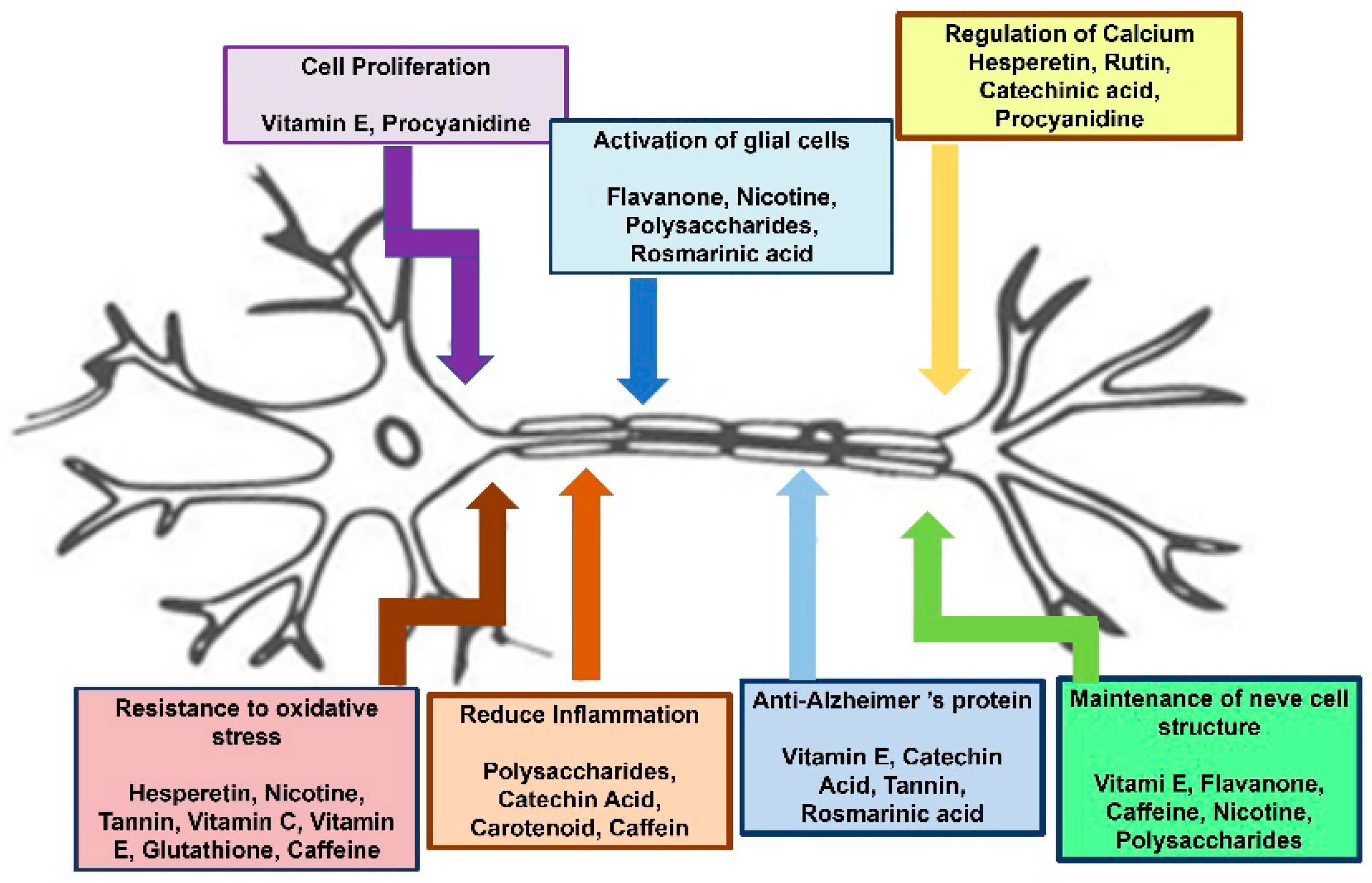 Nanomaterials 12 02337 g005