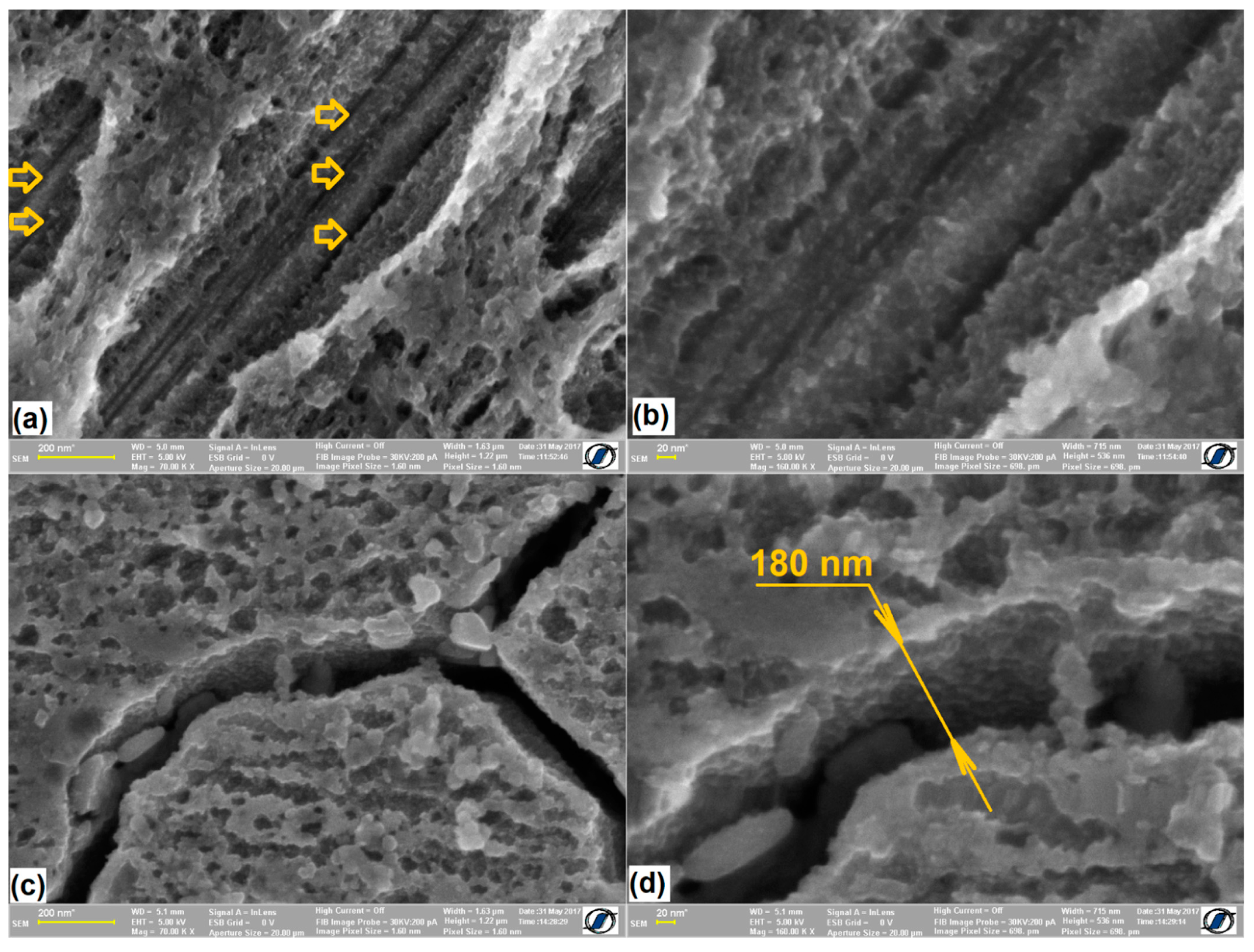 Nanomaterials 12 02342 g005