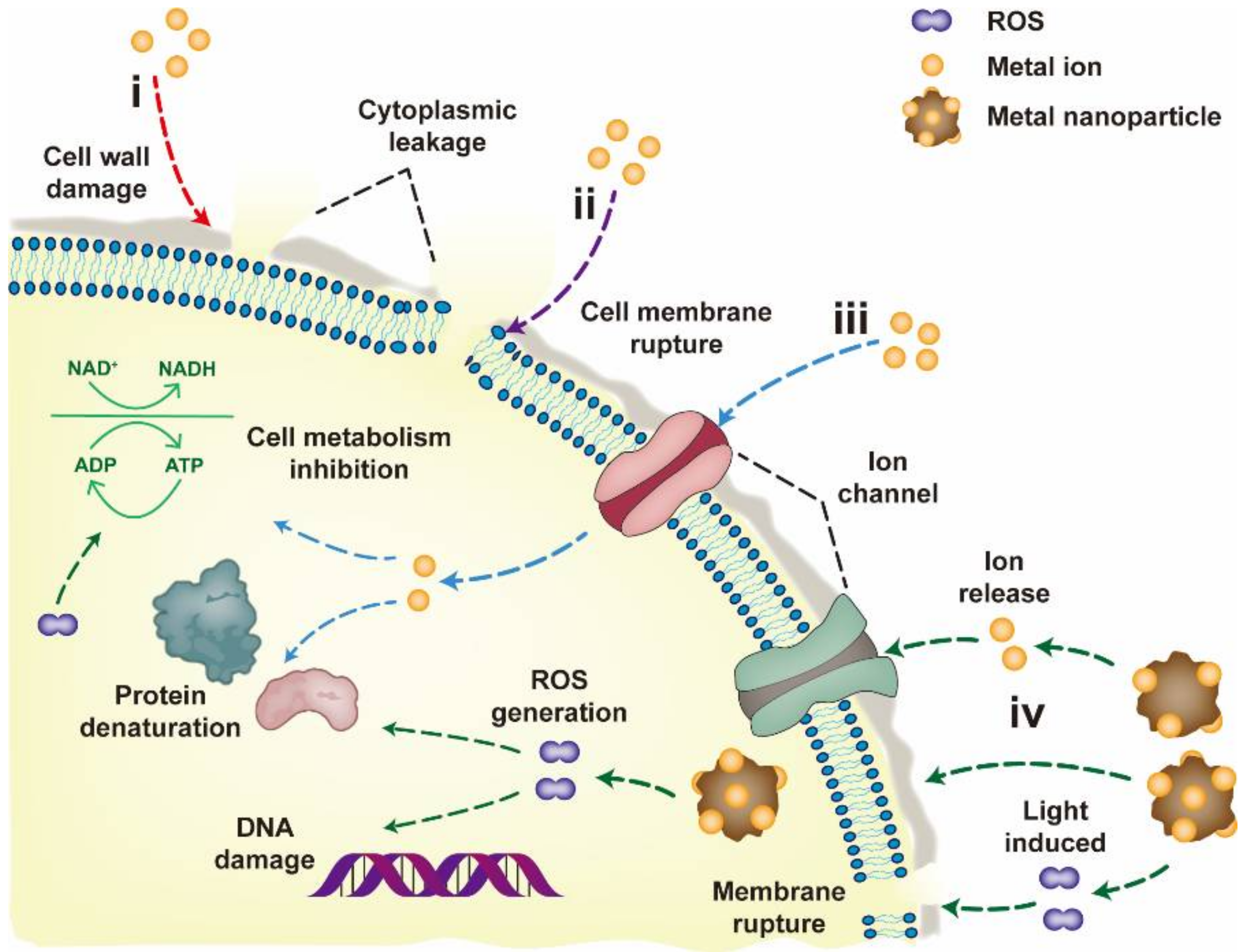 Nanomaterials 12 02345 g001