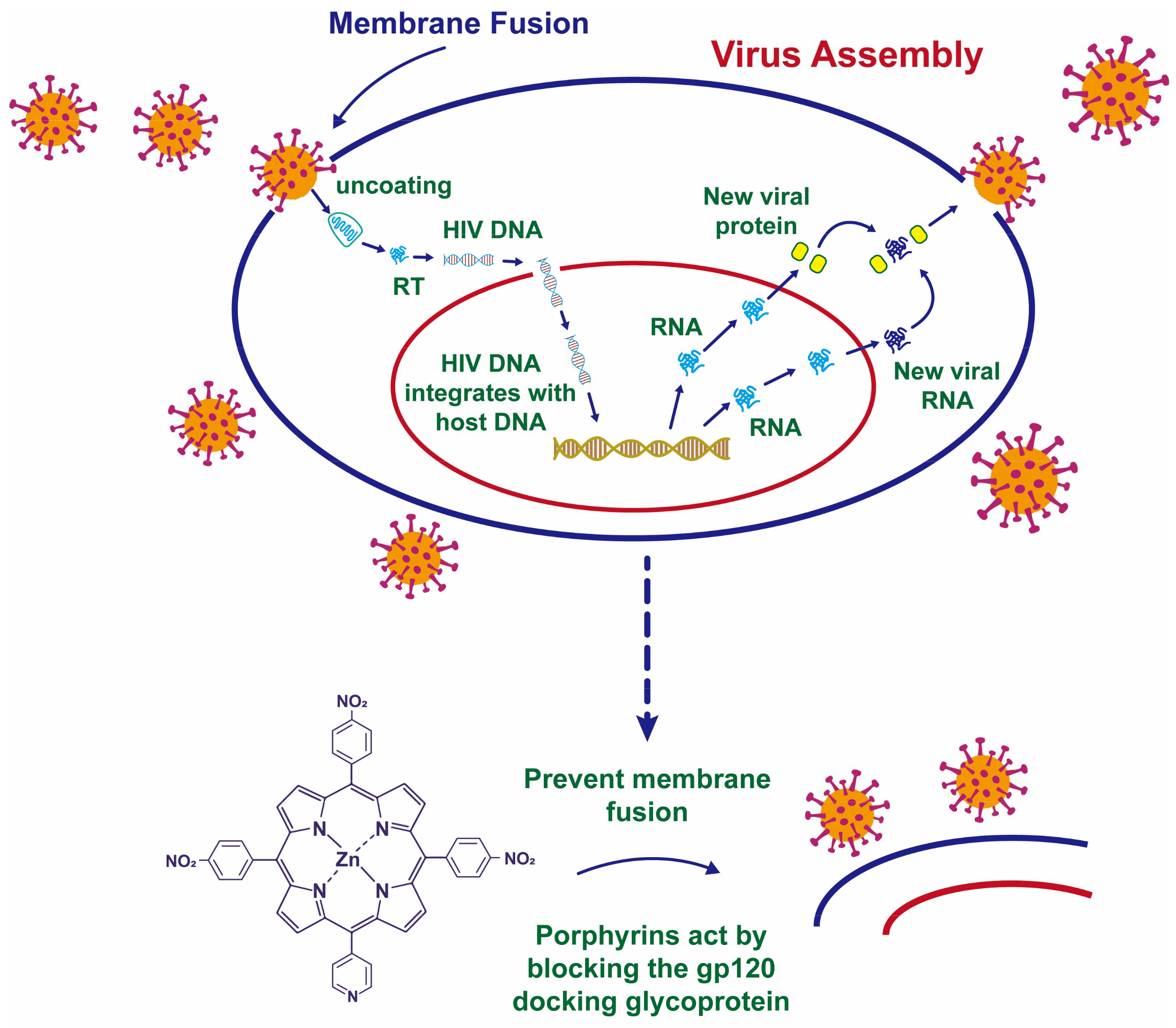 Nanomaterials 12 02345 g006