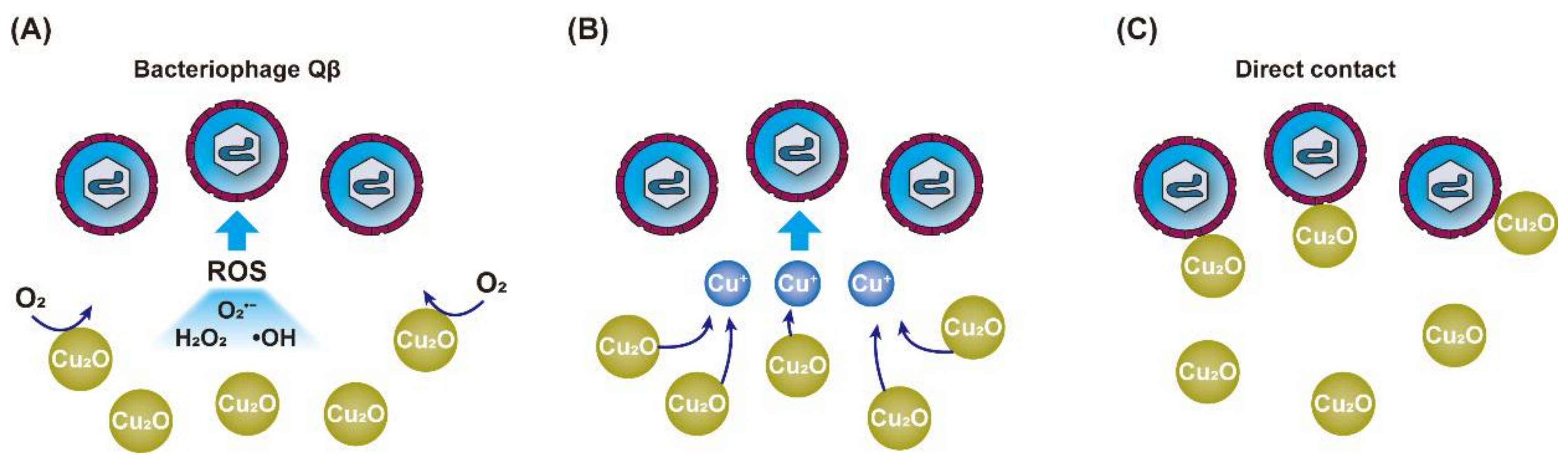 Nanomaterials 12 02345 g007