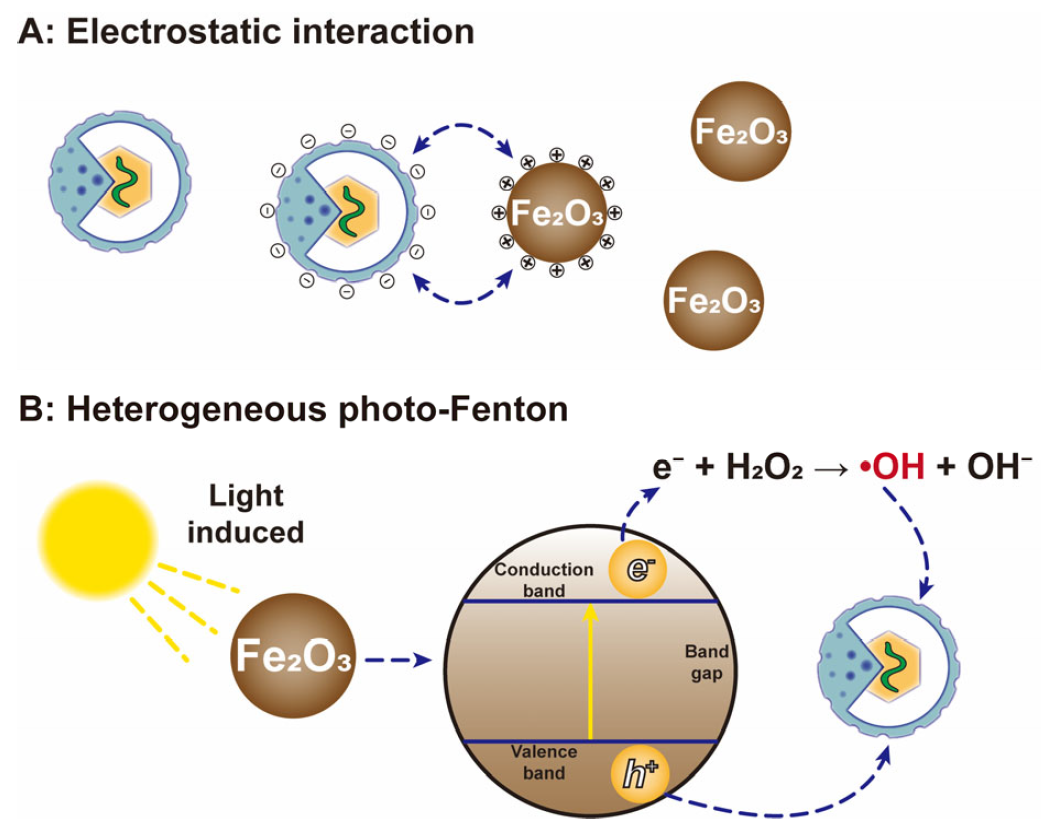 Nanomaterials 12 02345 g008