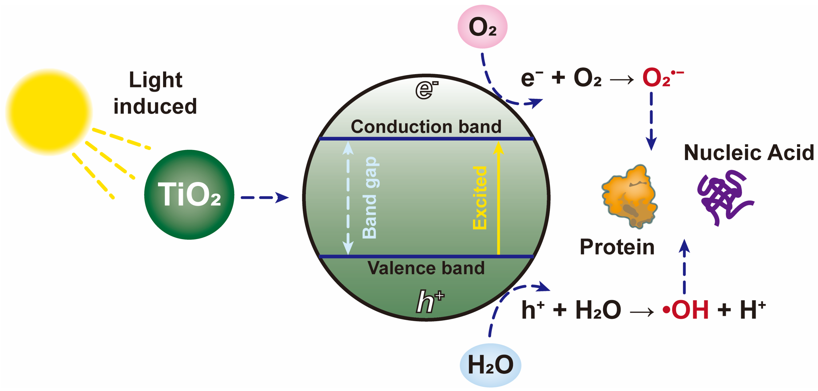 Nanomaterials 12 02345 g009