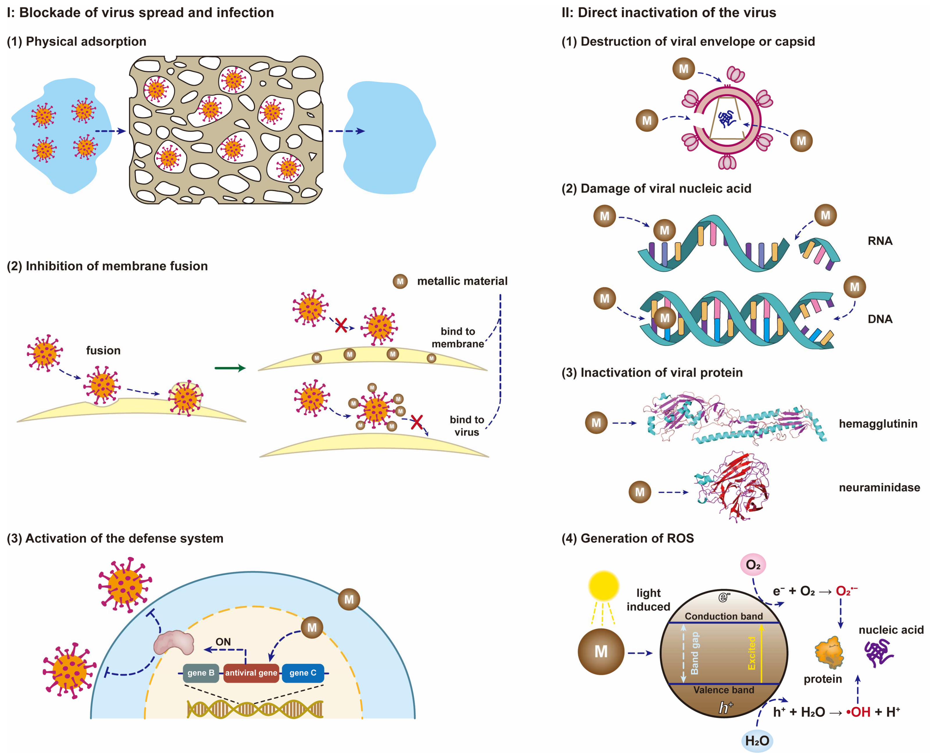 Nanomaterials 12 02345 g010