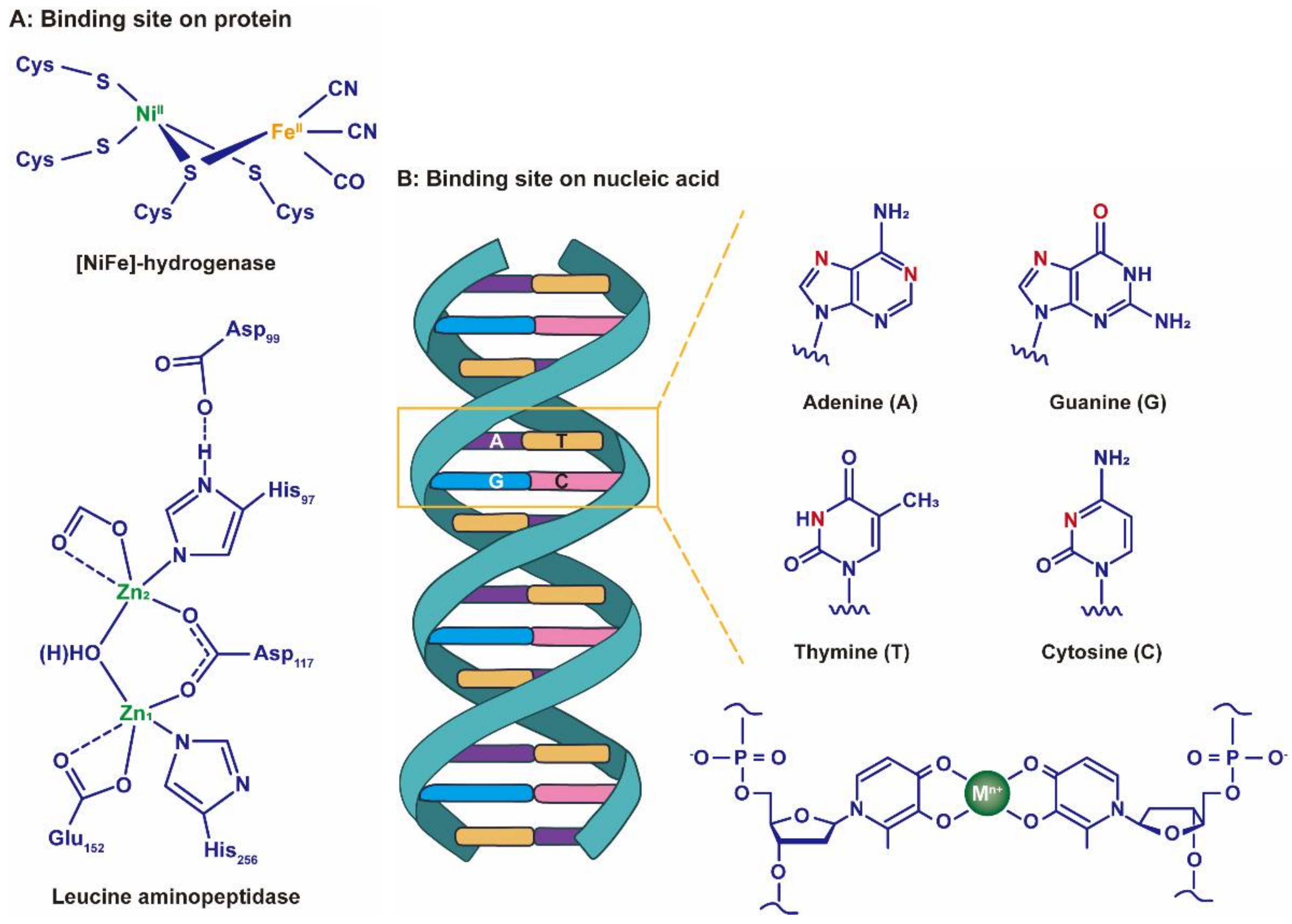 Nanomaterials 12 02345 g011