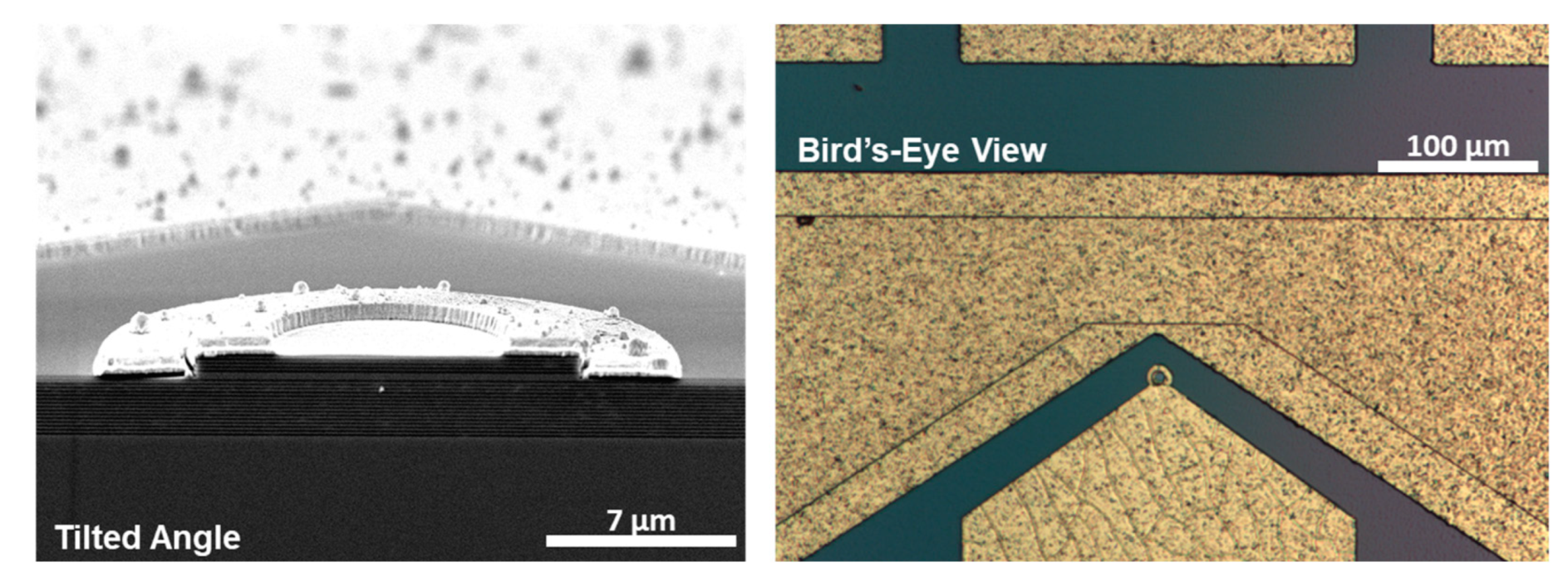Nanomaterials 12 02358 g008