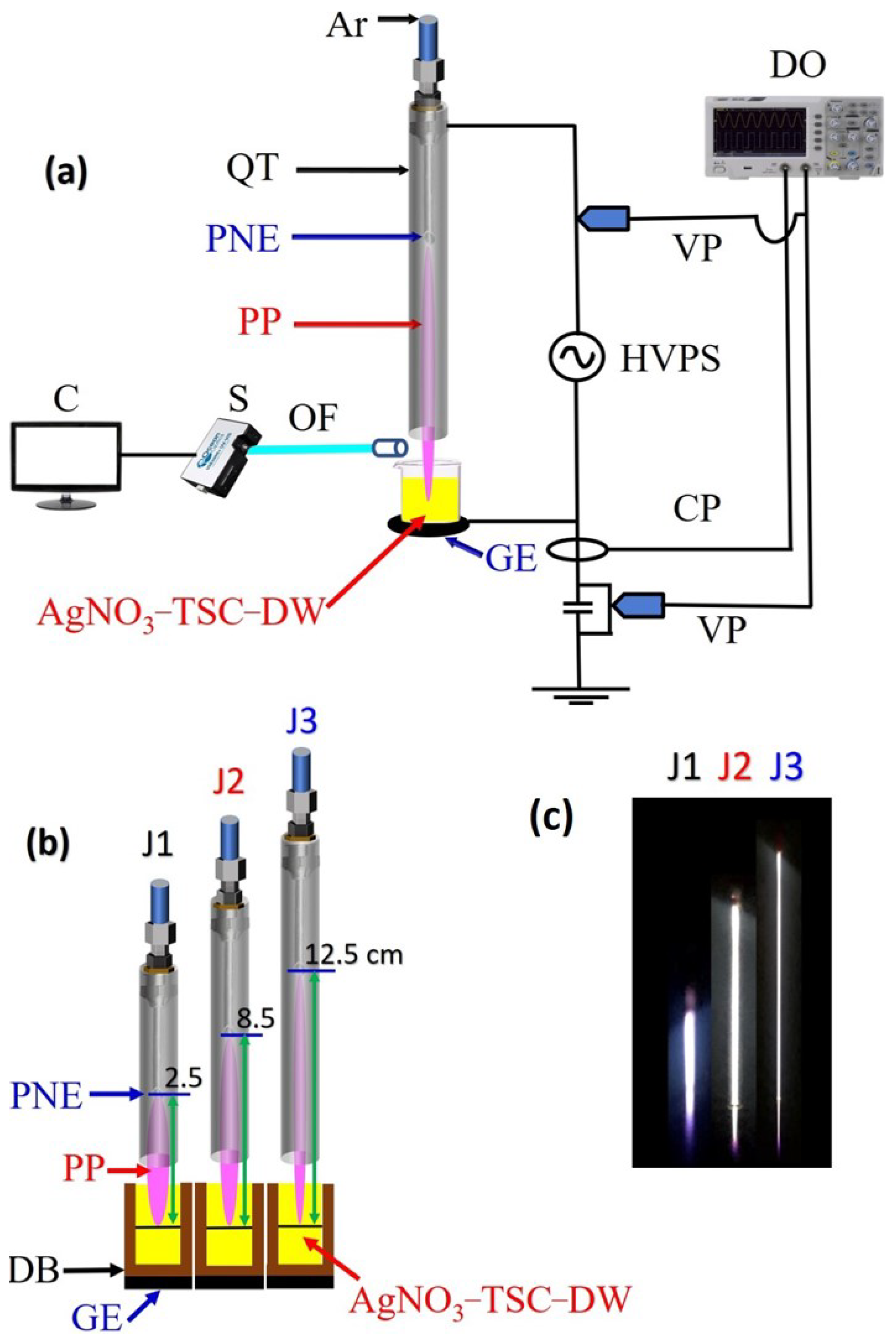 Nanomaterials 12 02367 g001
