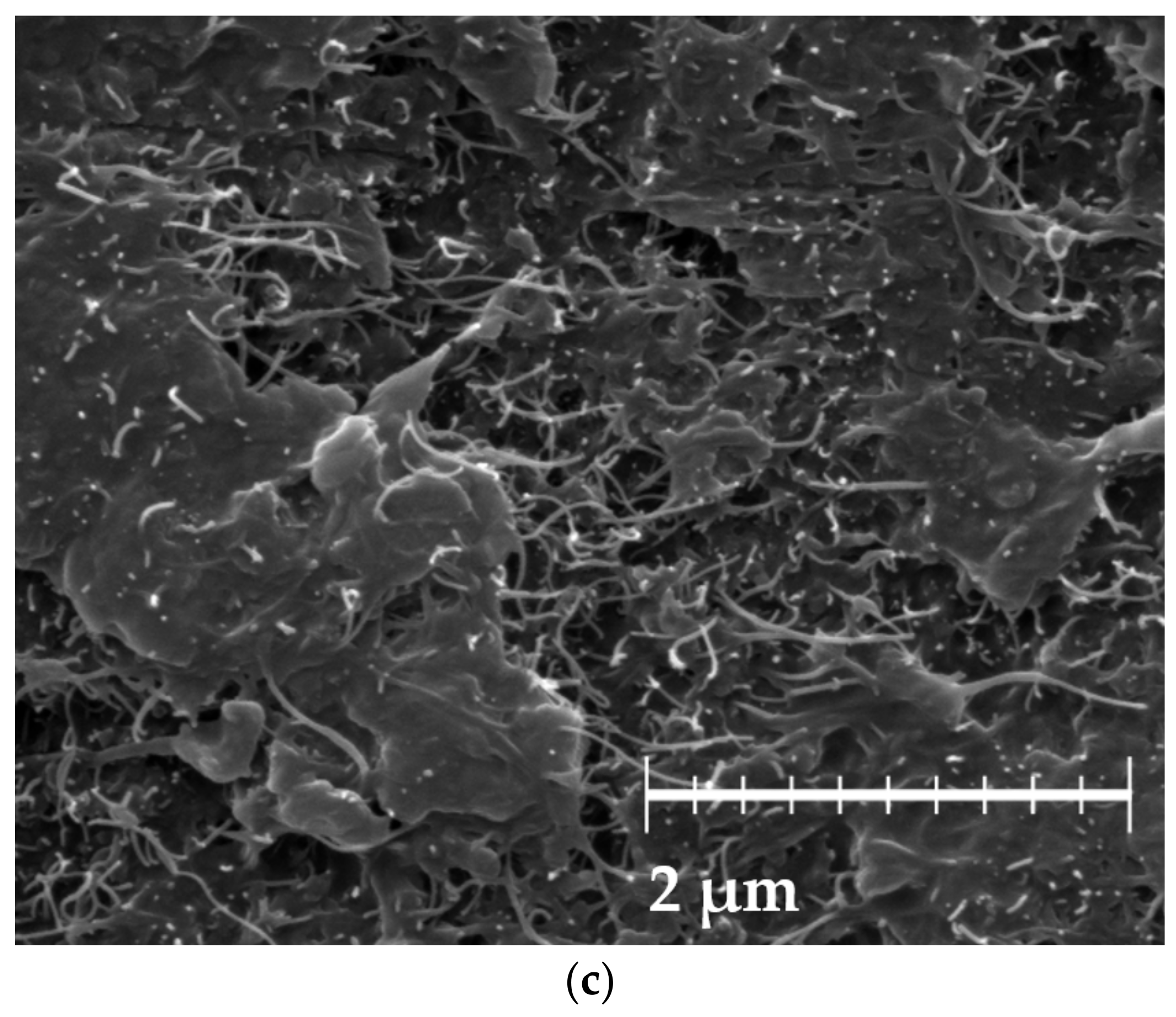 Nanomaterials 12 02369 g003b
