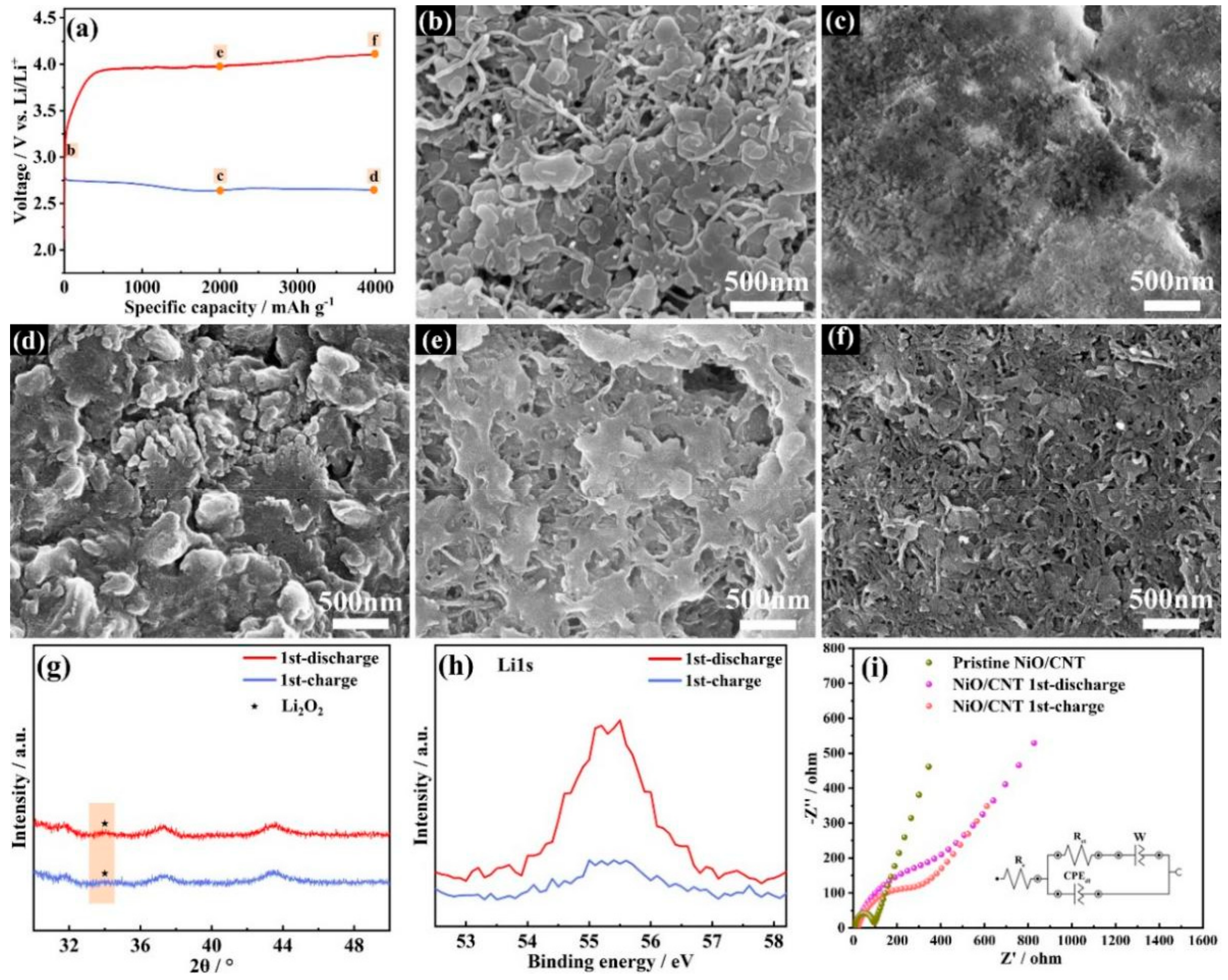 Nanomaterials 12 02386 g005
