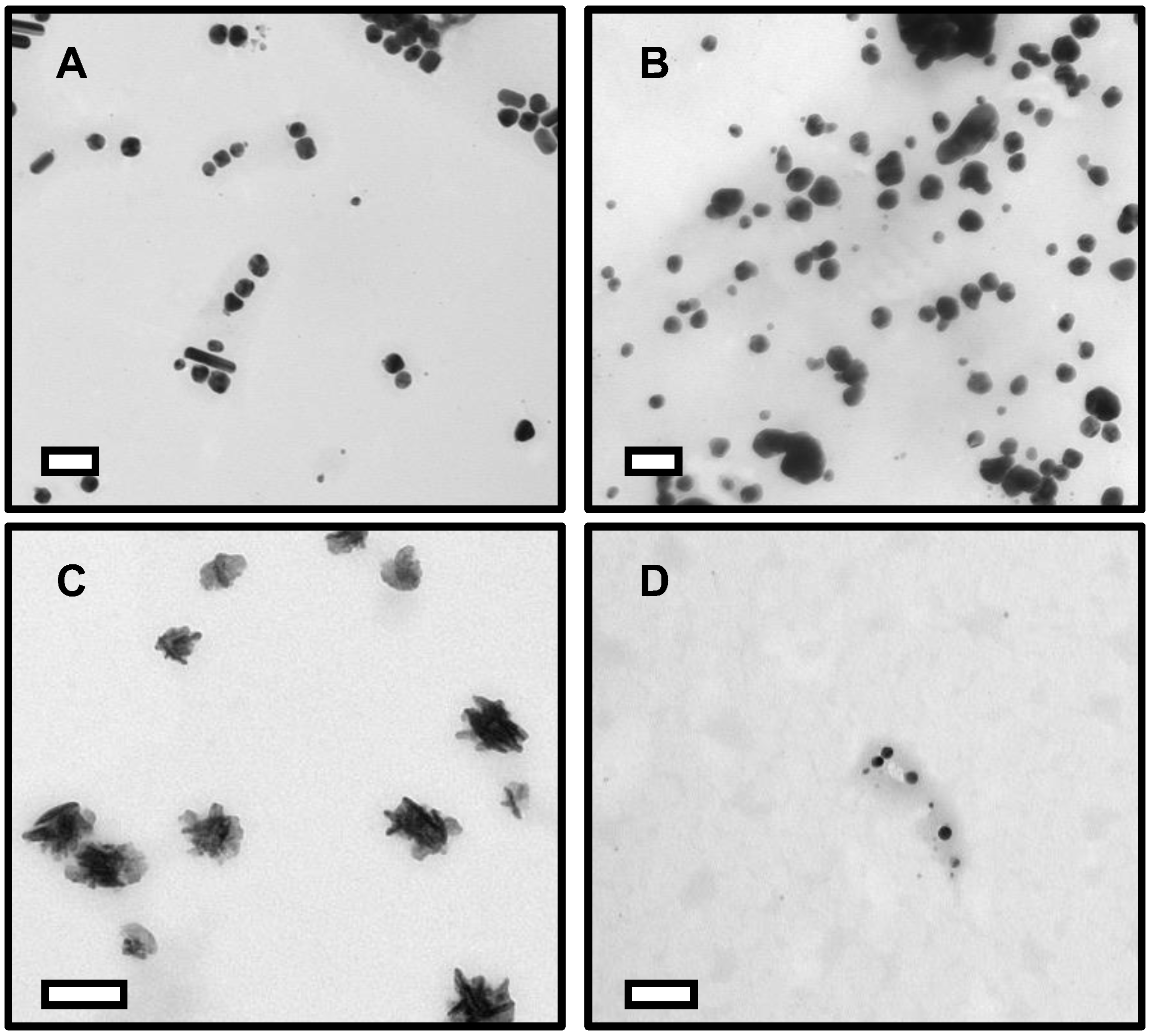 Nanomaterials 12 02402 g002 Nanomaterials 12 02402 g002