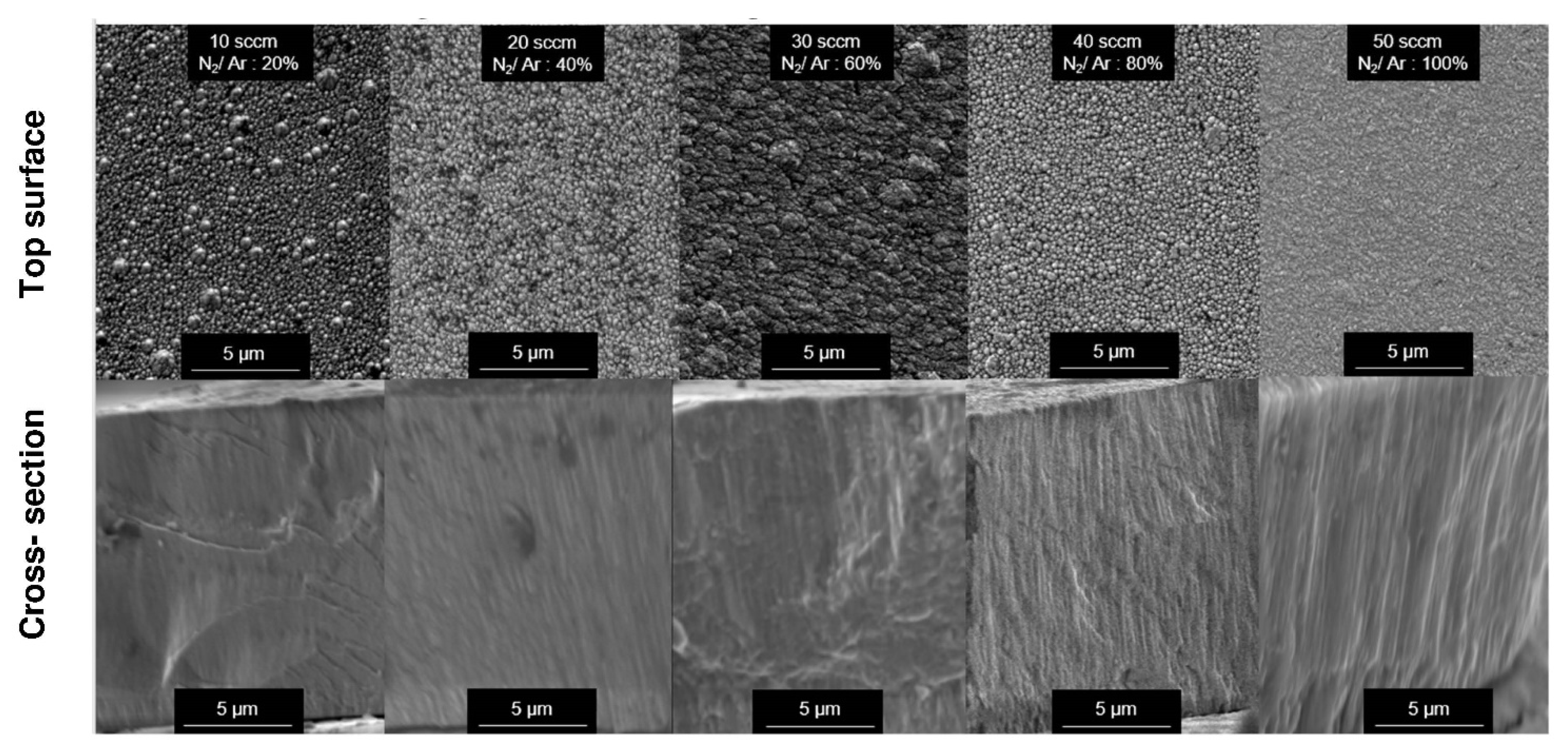 Nanomaterials 12 02410 g002