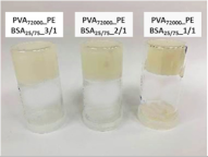 Nanomaterials 12 02420 i001