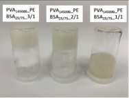 Nanomaterials 12 02420 i002