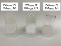 Nanomaterials 12 02420 i005