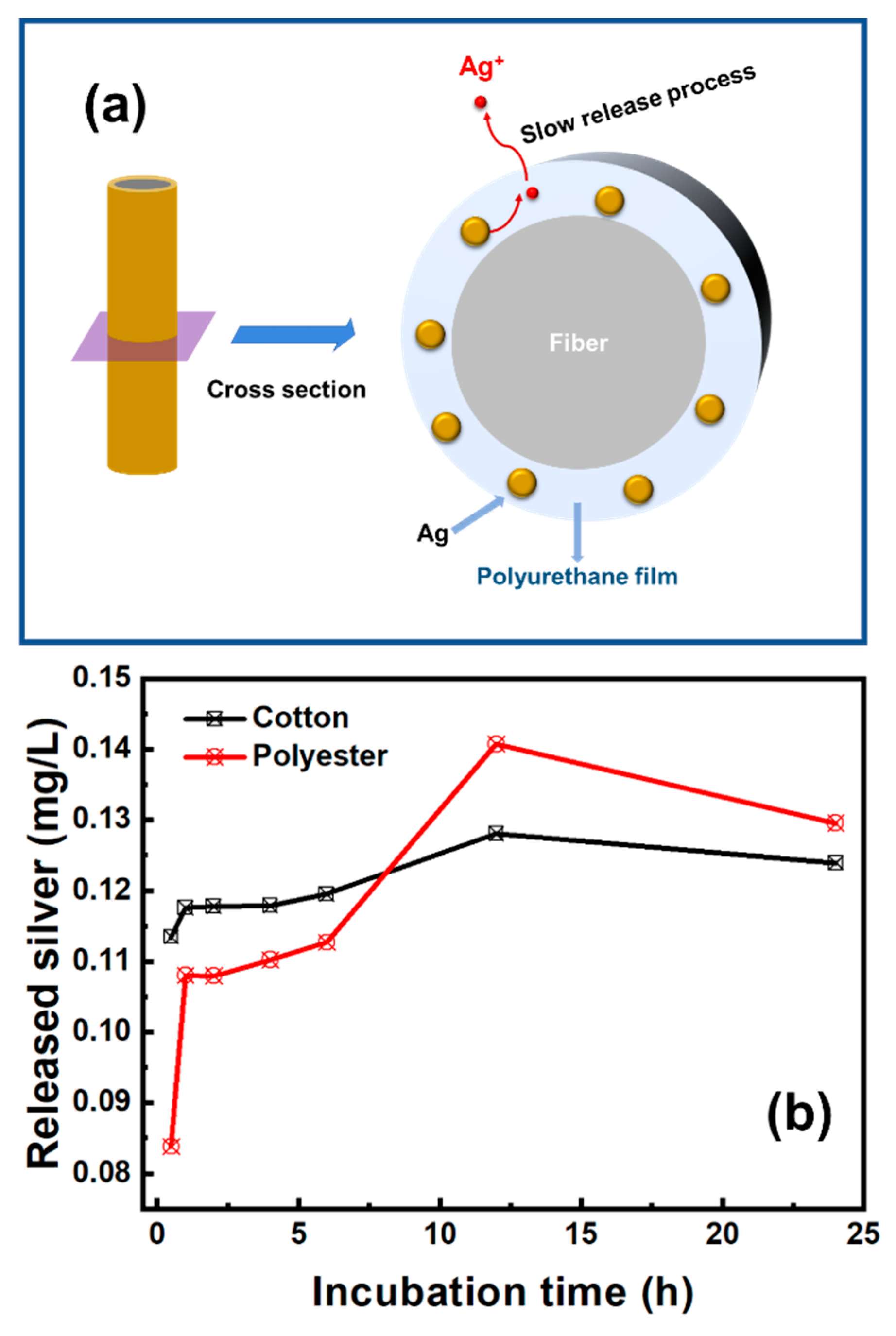 Nanomaterials 12 02429 g007