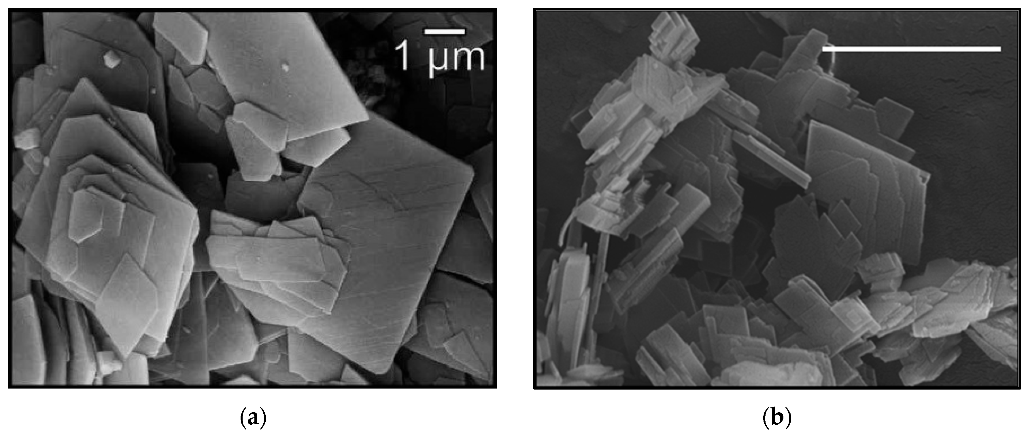 Nanomaterials 12 02433 g002