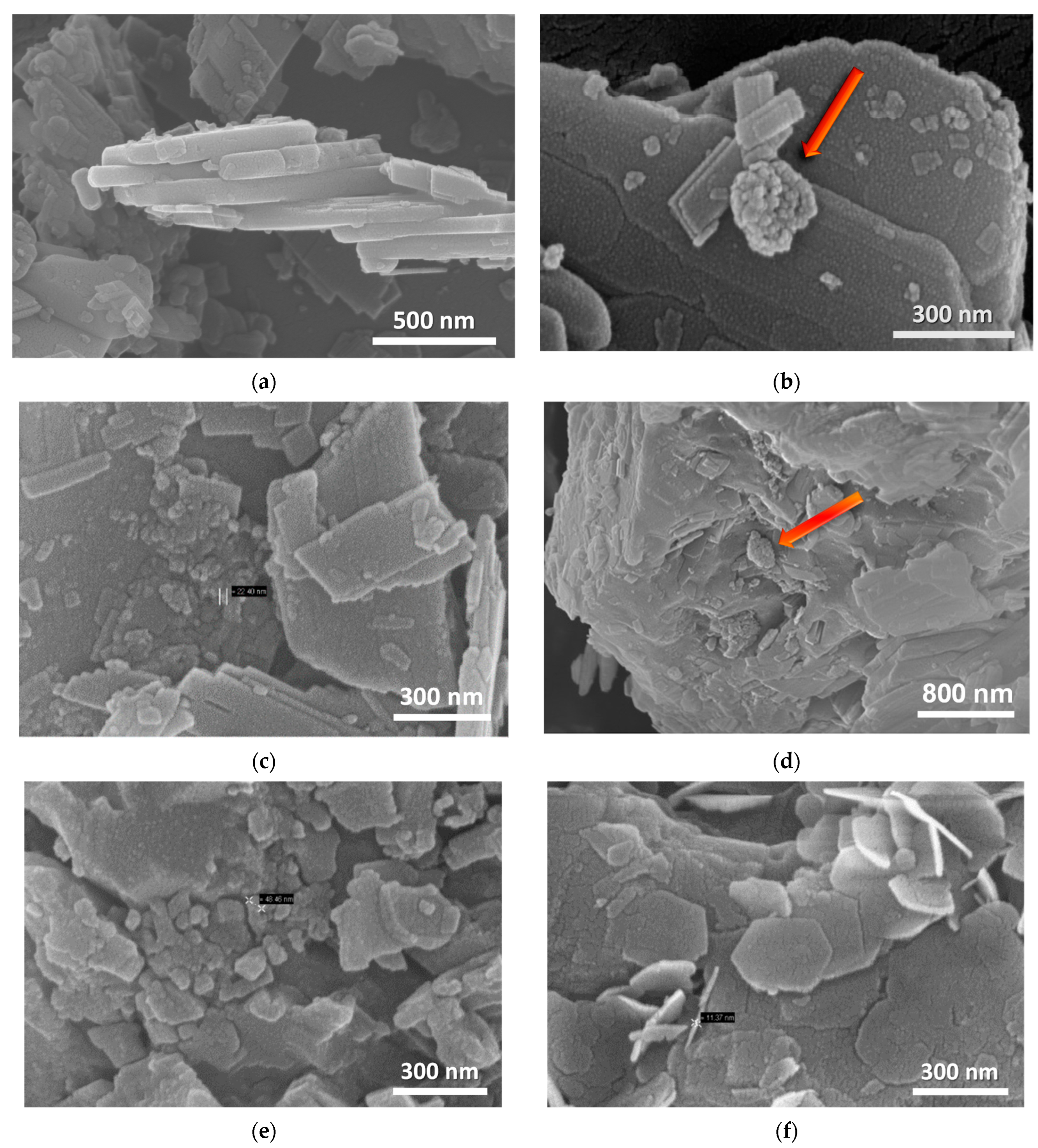 Nanomaterials 12 02433 g007
