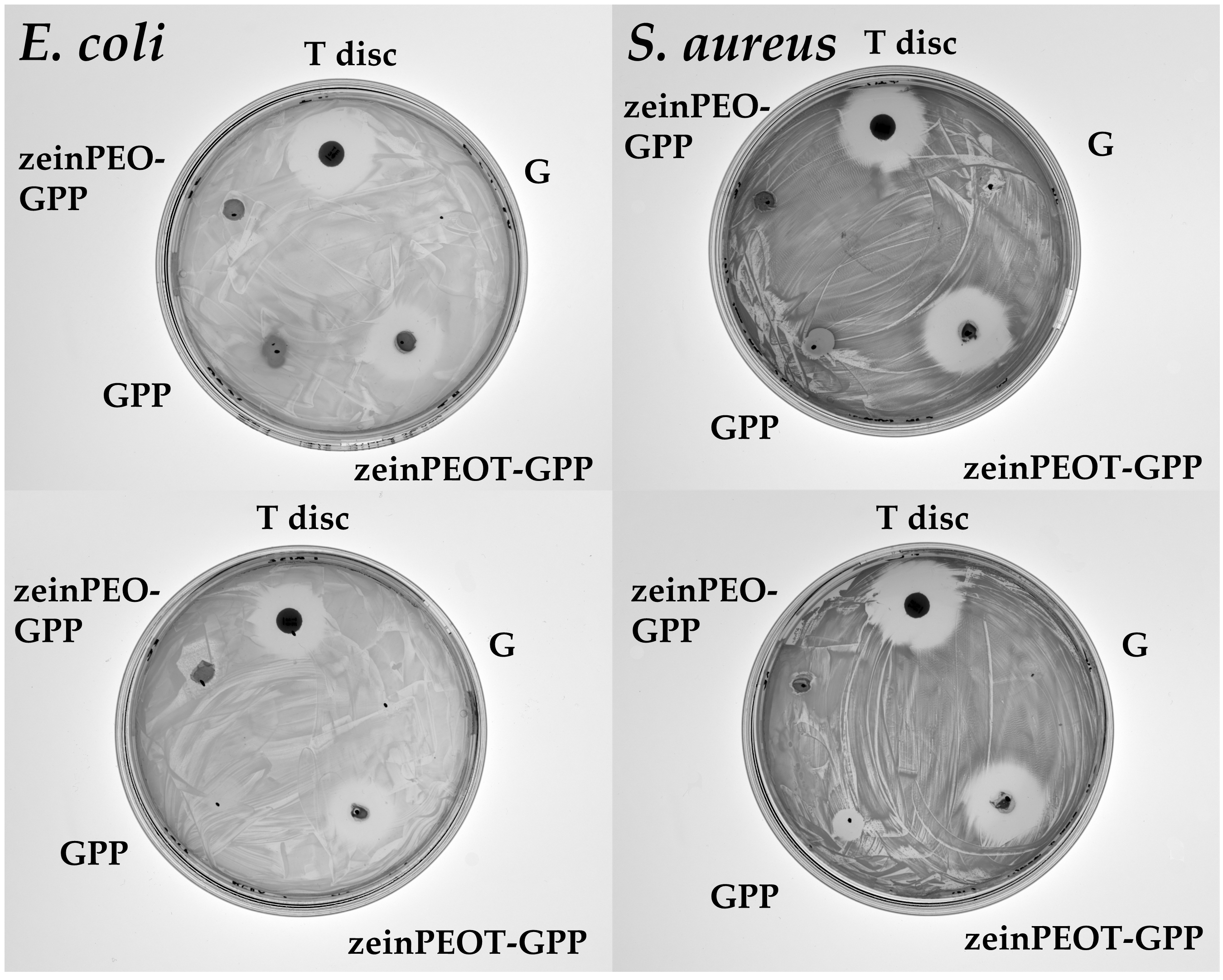 Nanomaterials 12 02437 g0a2