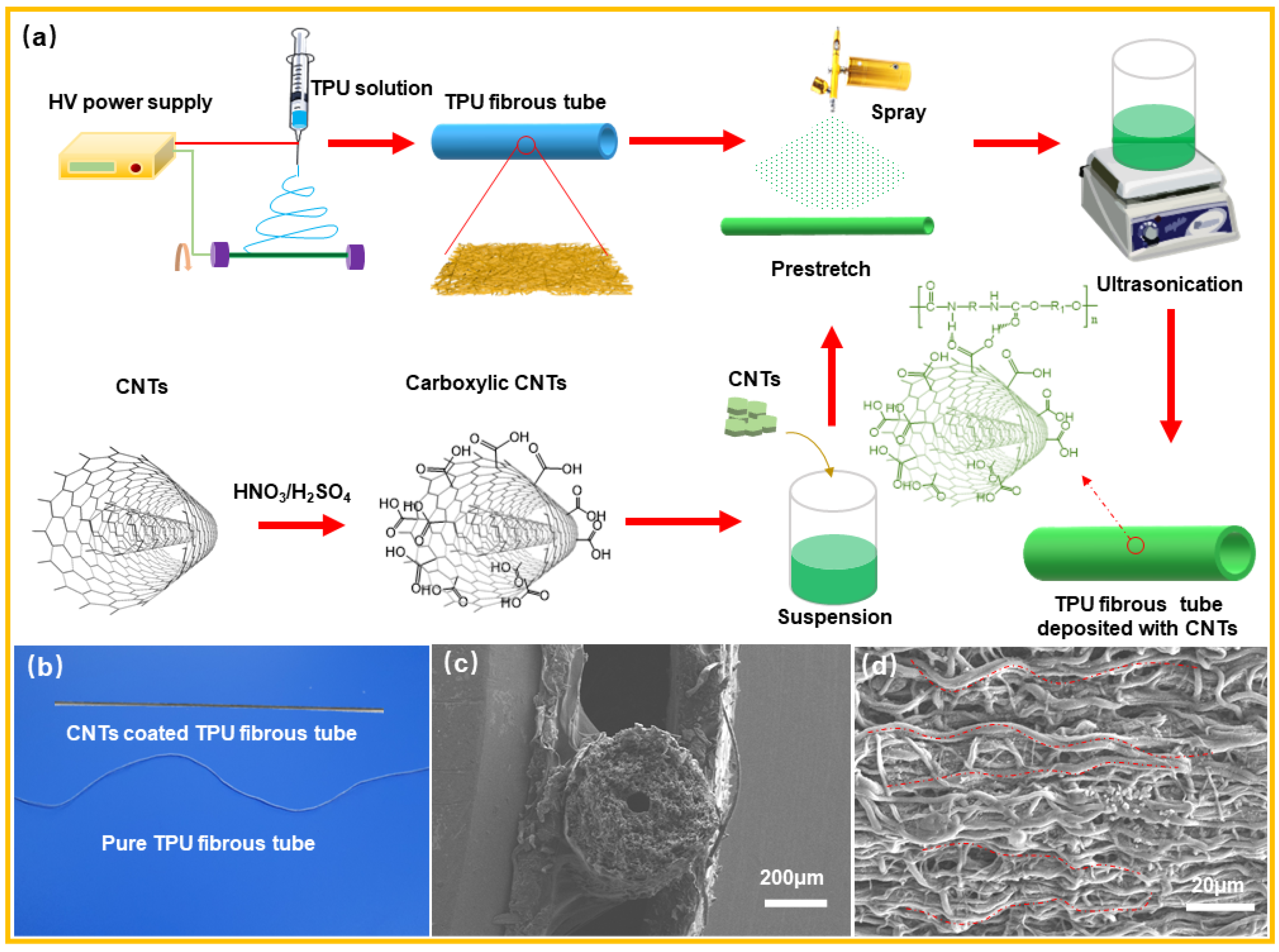 Nanomaterials 12 02458 g001