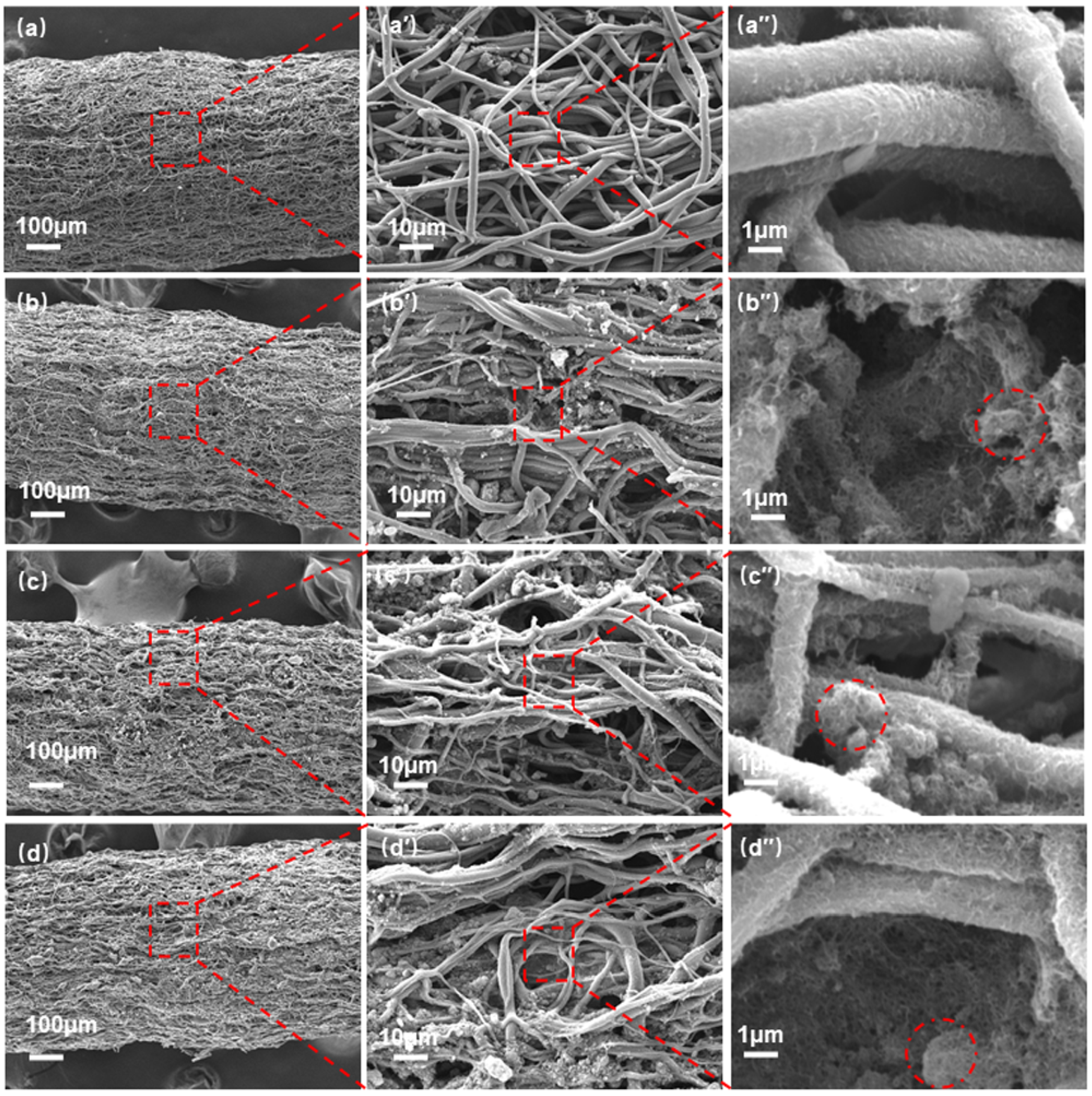 Nanomaterials 12 02458 g002